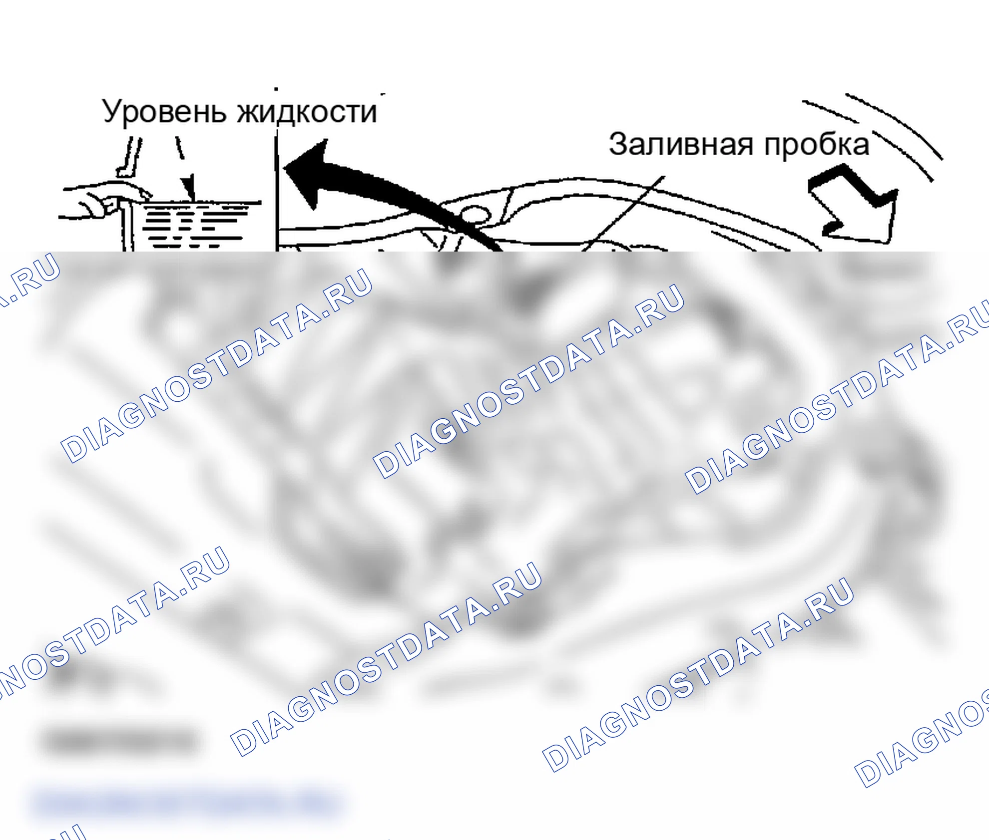 Рис. 10: Утечка жидкости и уровень жидкости. Infiniti FX45 I