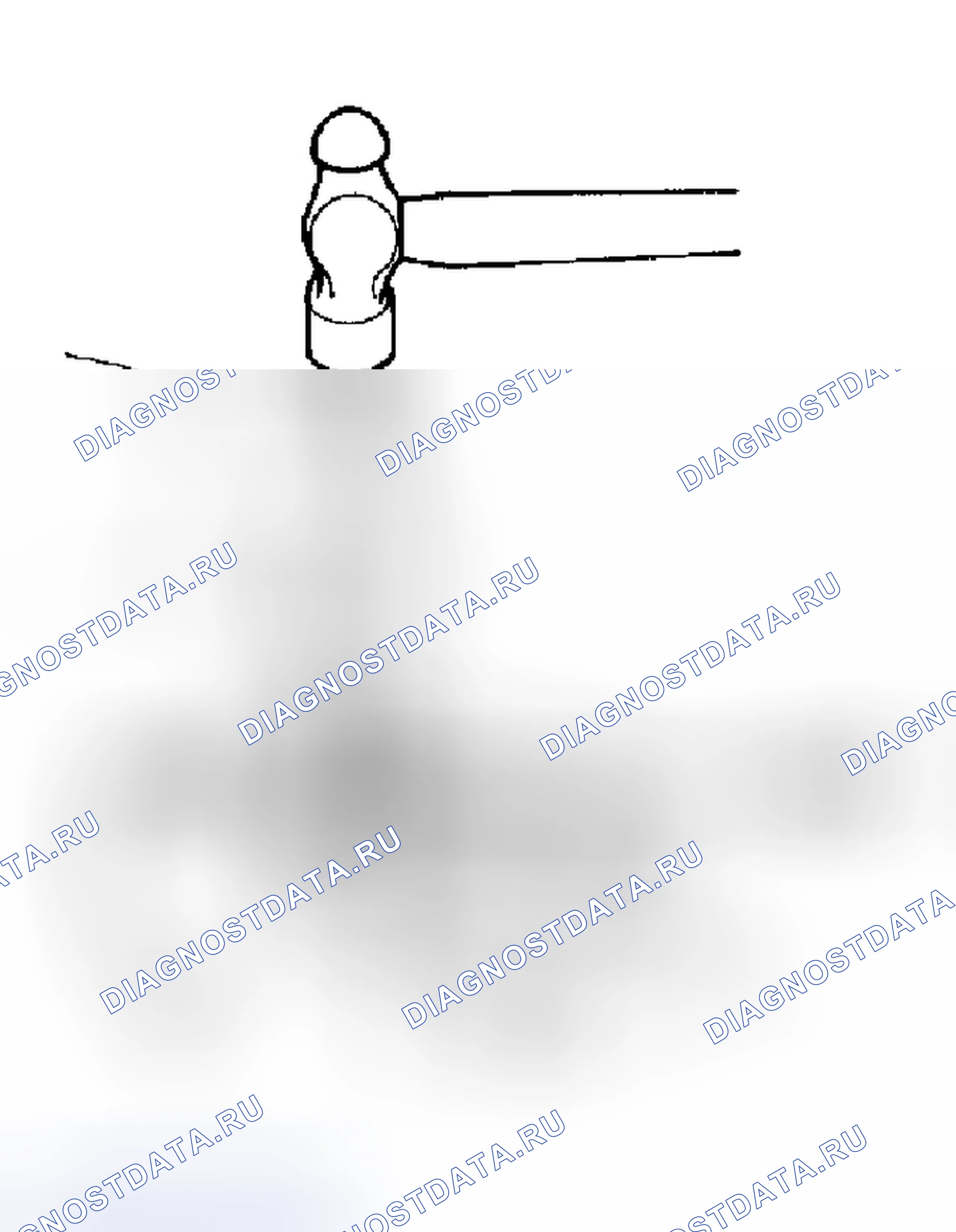 Рис. 28. Haval Xiaolong Max I
