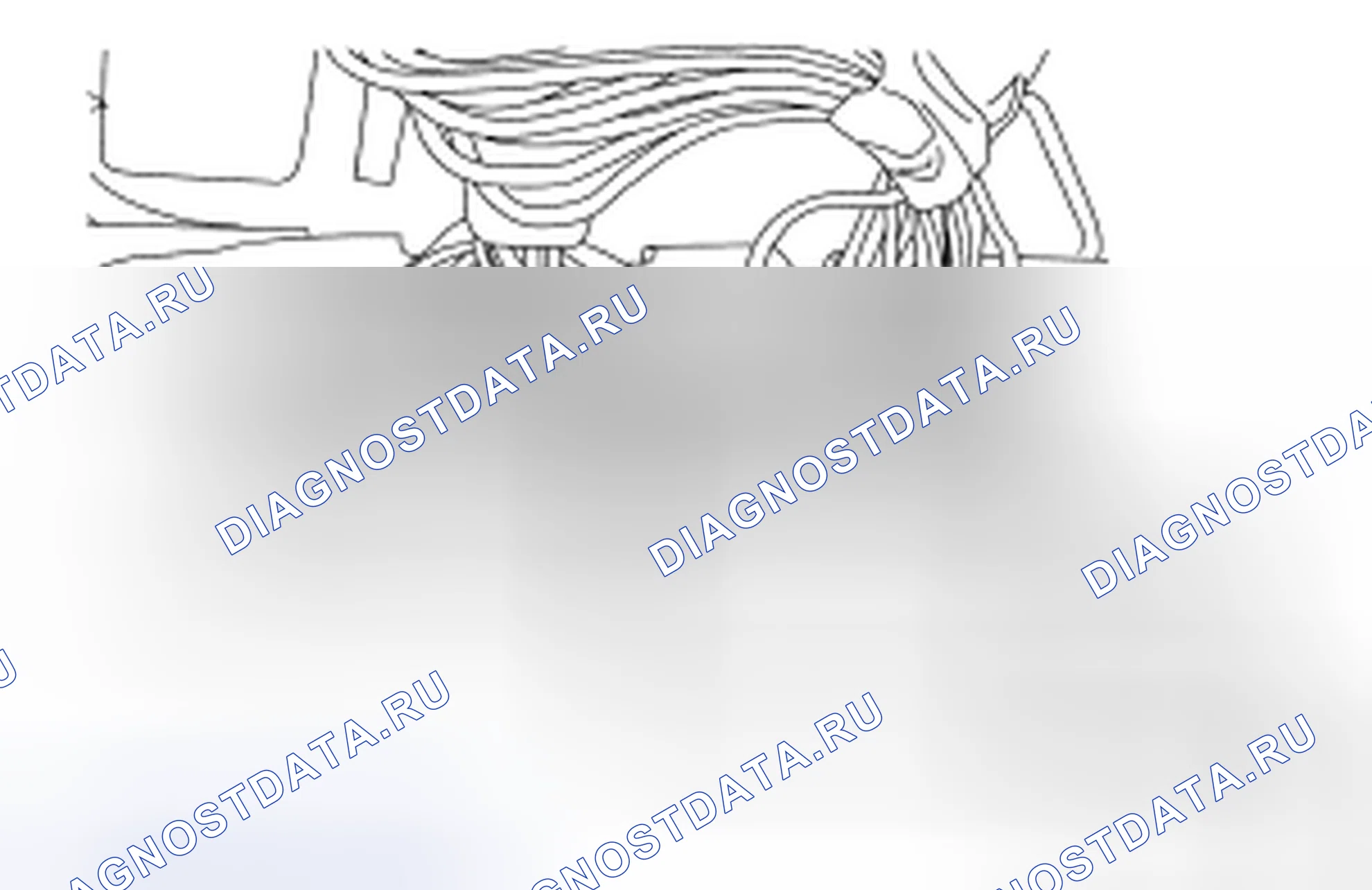 Рис. 232. Mazda 2 I рестайлинг