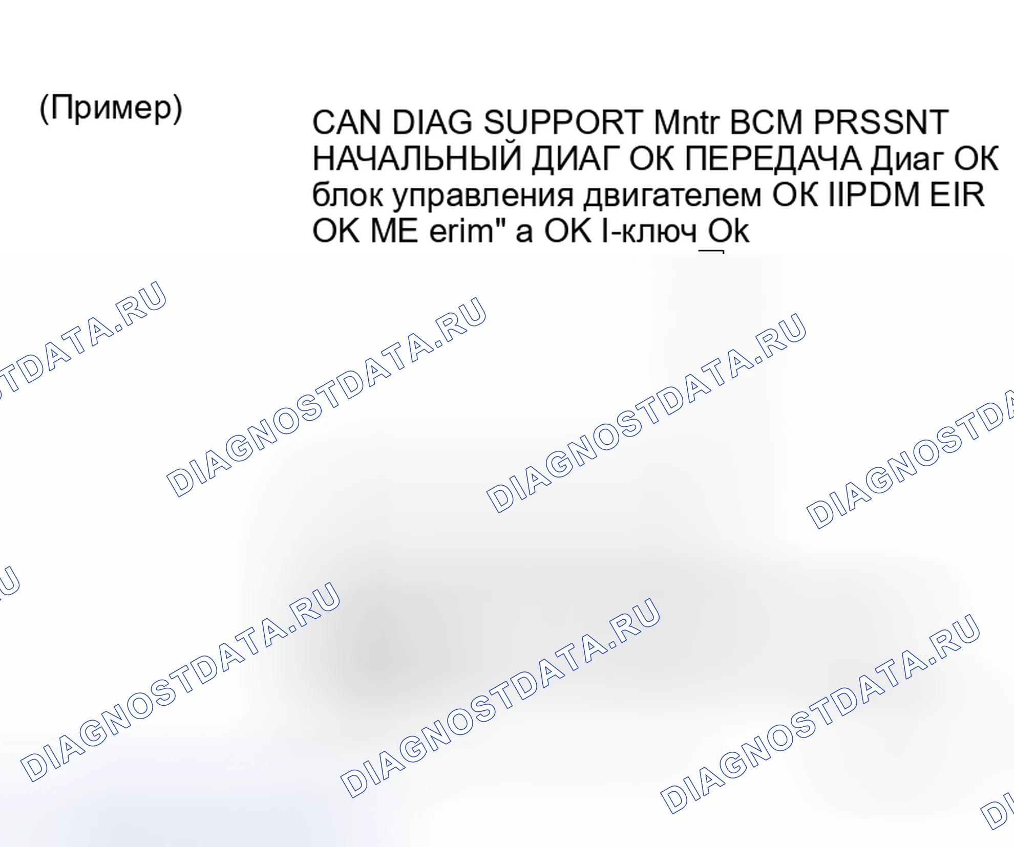 Рис. 21: ОПИСАНИЕ ЭКРАНА " CAN DIAG SUPPORT Mntr " ДЛЯ BCM. Honda Lagreat I