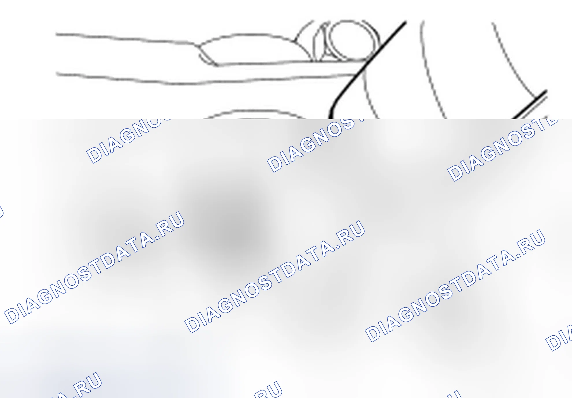 Рис. 2. Ford Taurus VI