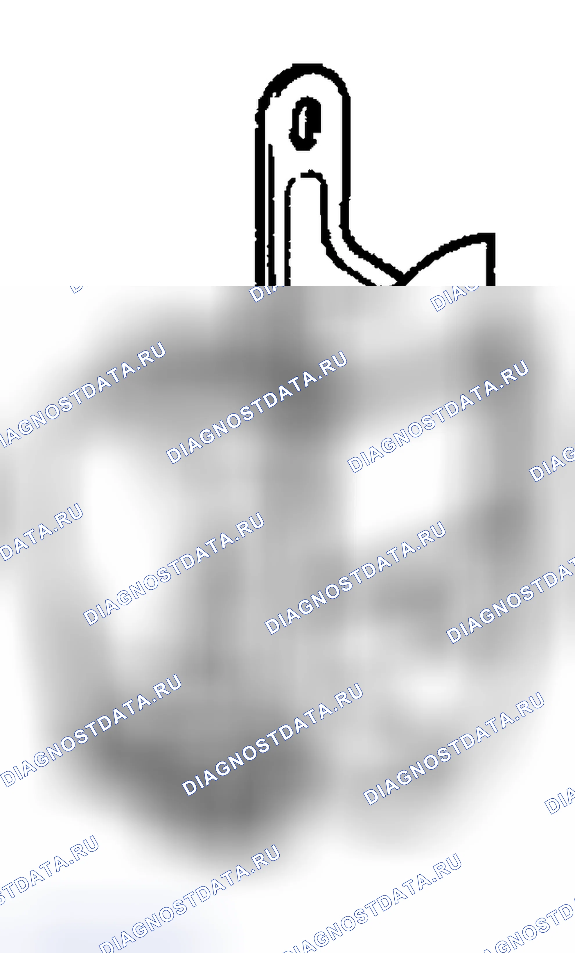 Рис. 212. Toyota Sequoia I