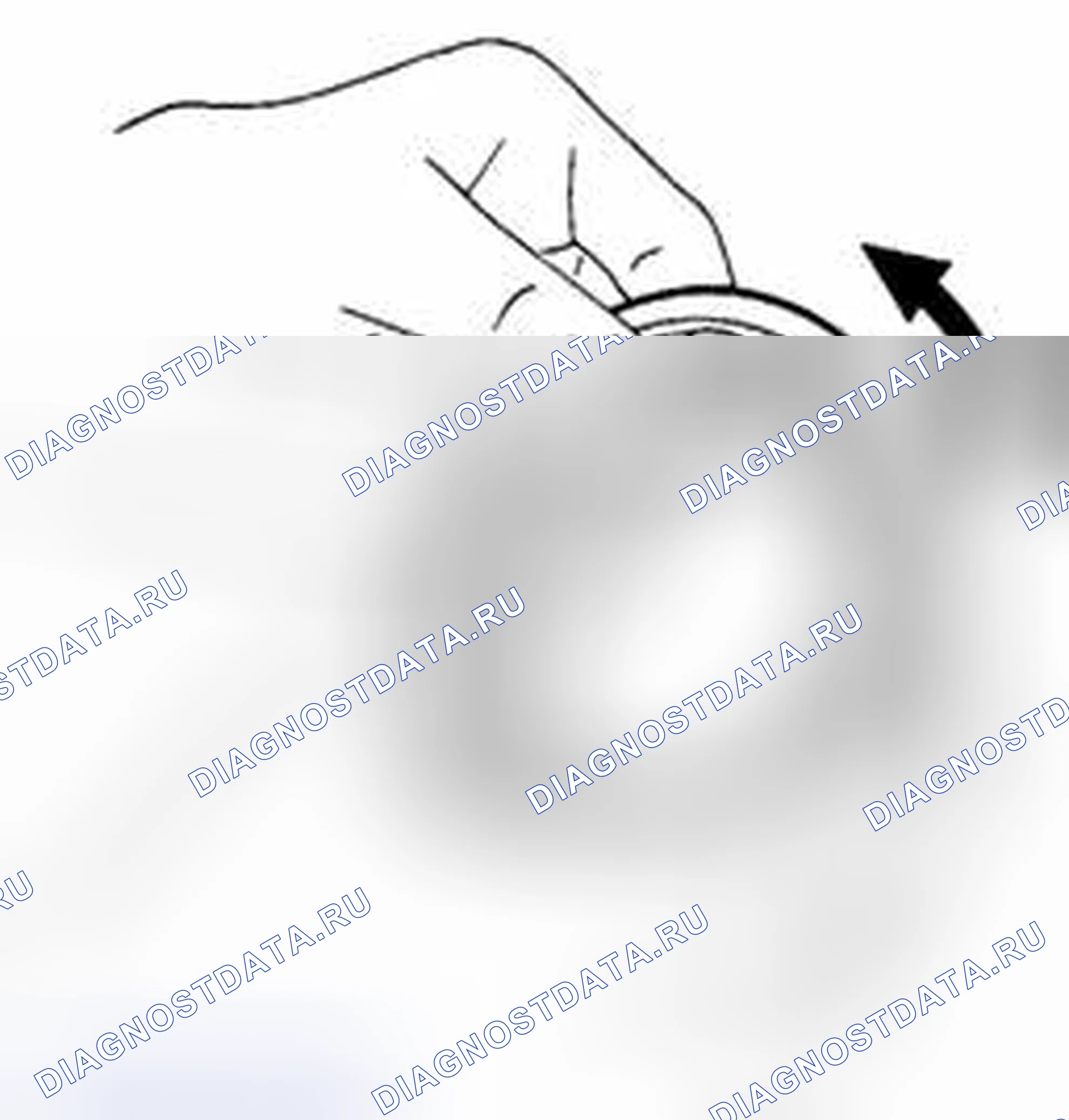 Рис. 168: Подшипник. Suzuki Equator I