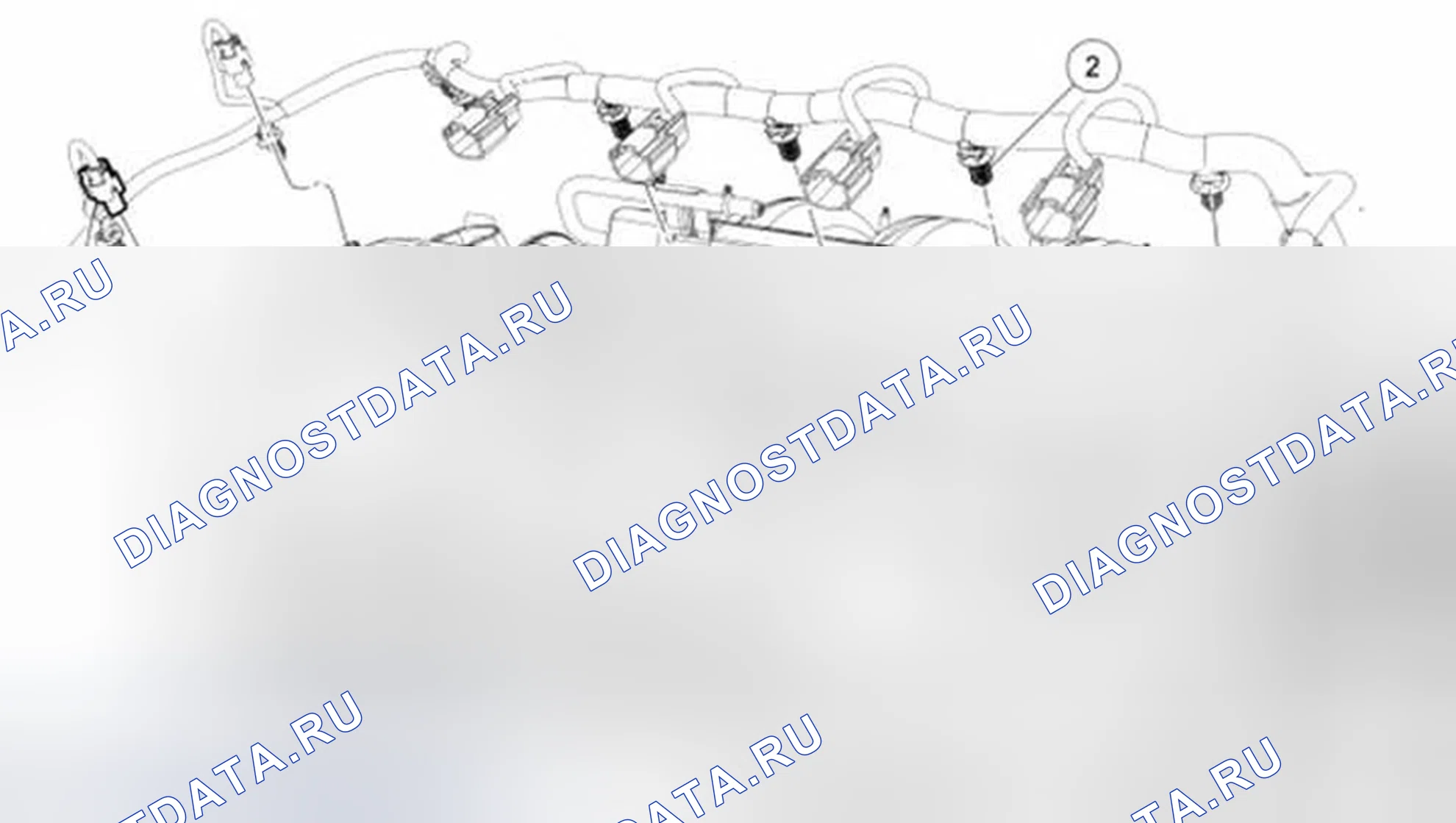 Рис. 629: Жгут проводов. Ford Mustang V рестайлинг 2