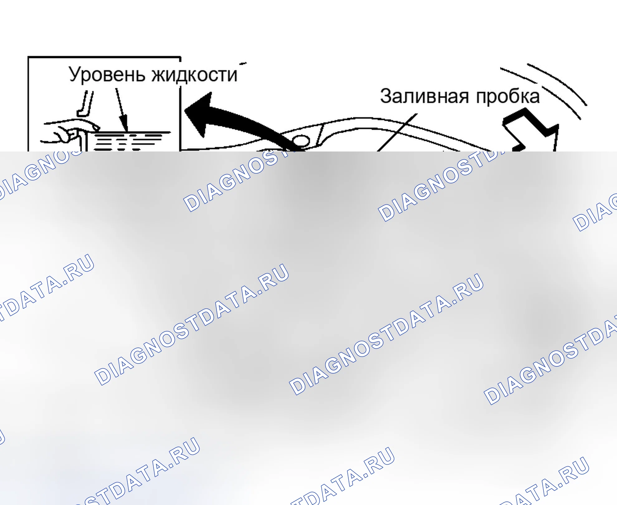 Рис. 59. Infiniti M35 III