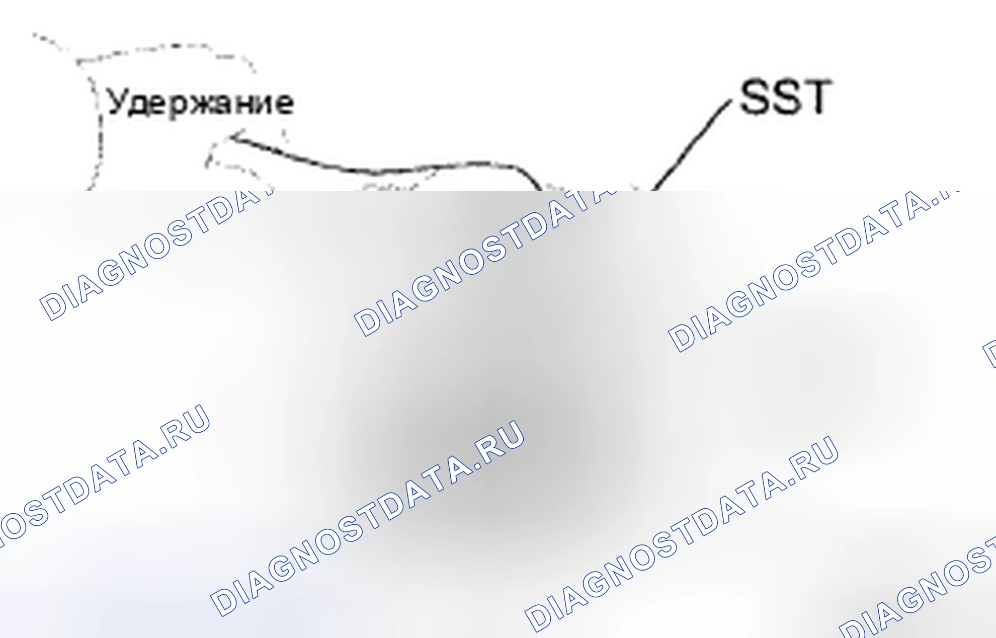 Рис. 139. Toyota Sienna II рестайлинг