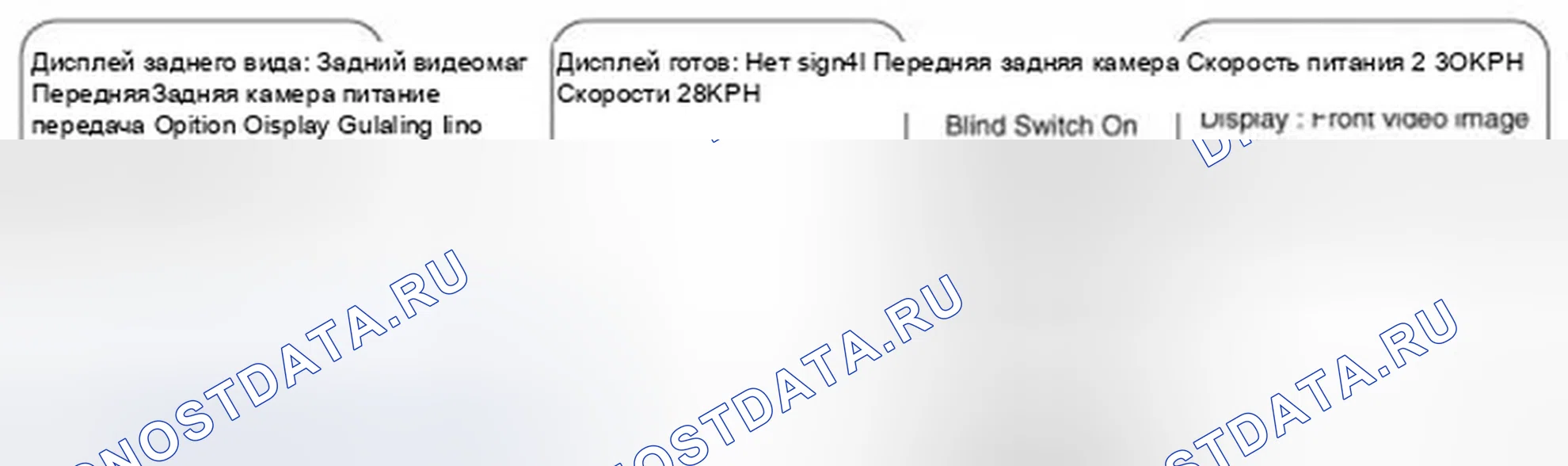 Рис. 38: Функция контроля вида спереди / сзади. Hyundai Equus II