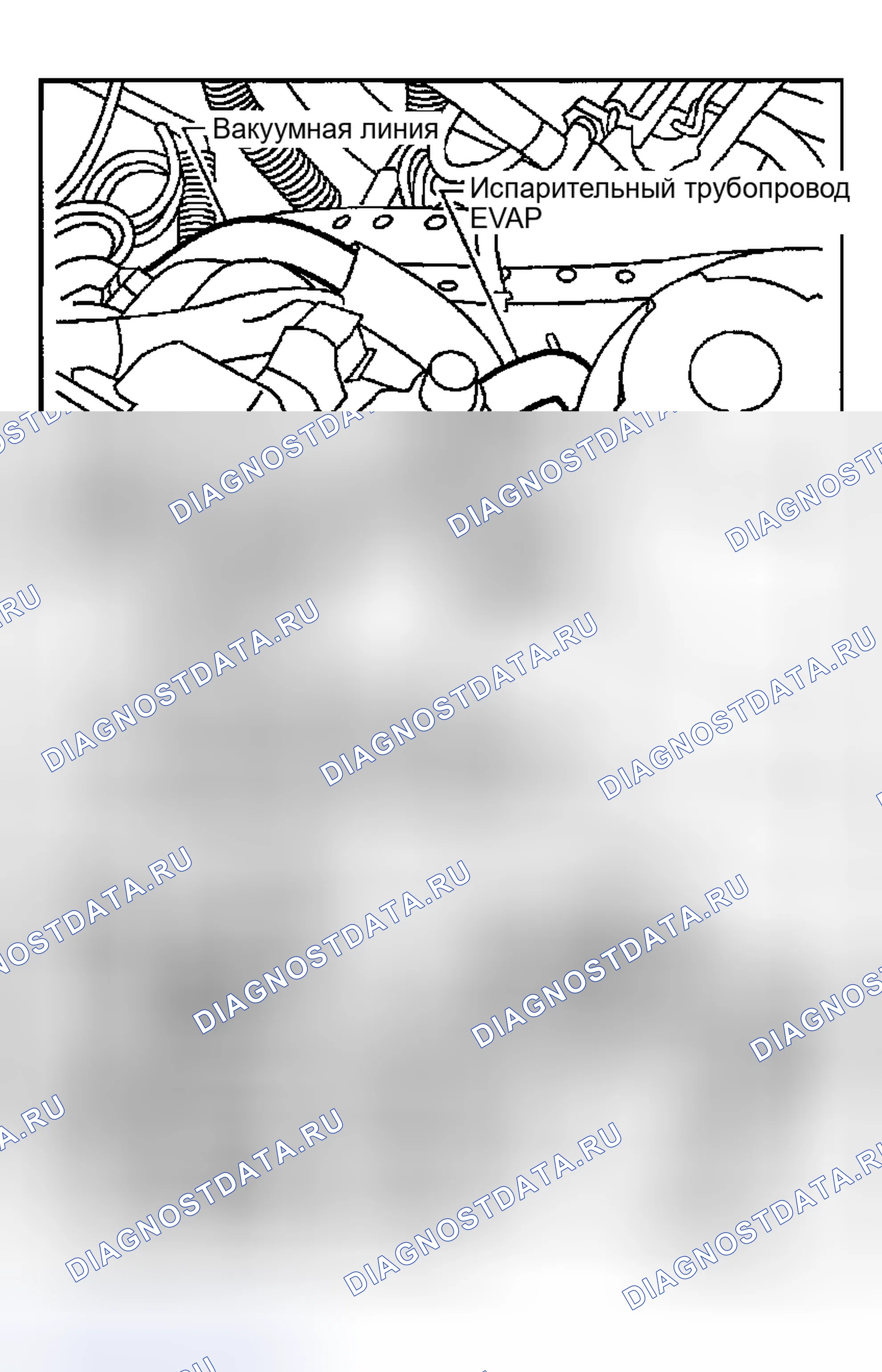 Рис. 31: Проверка испарительных линий EVAP. Honda Odyssey (North America) I