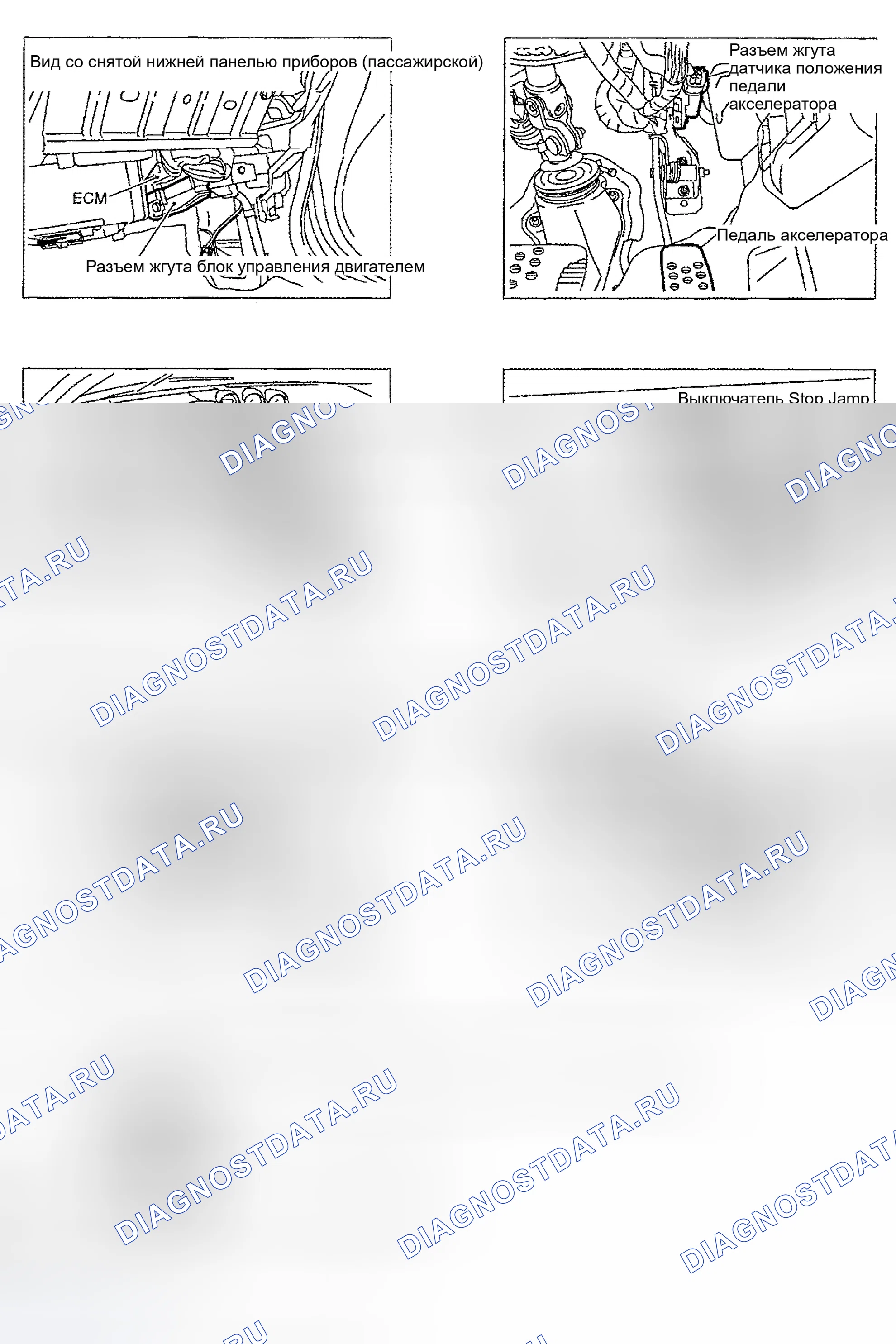 Рис. 80. Nissan Sentra B15
