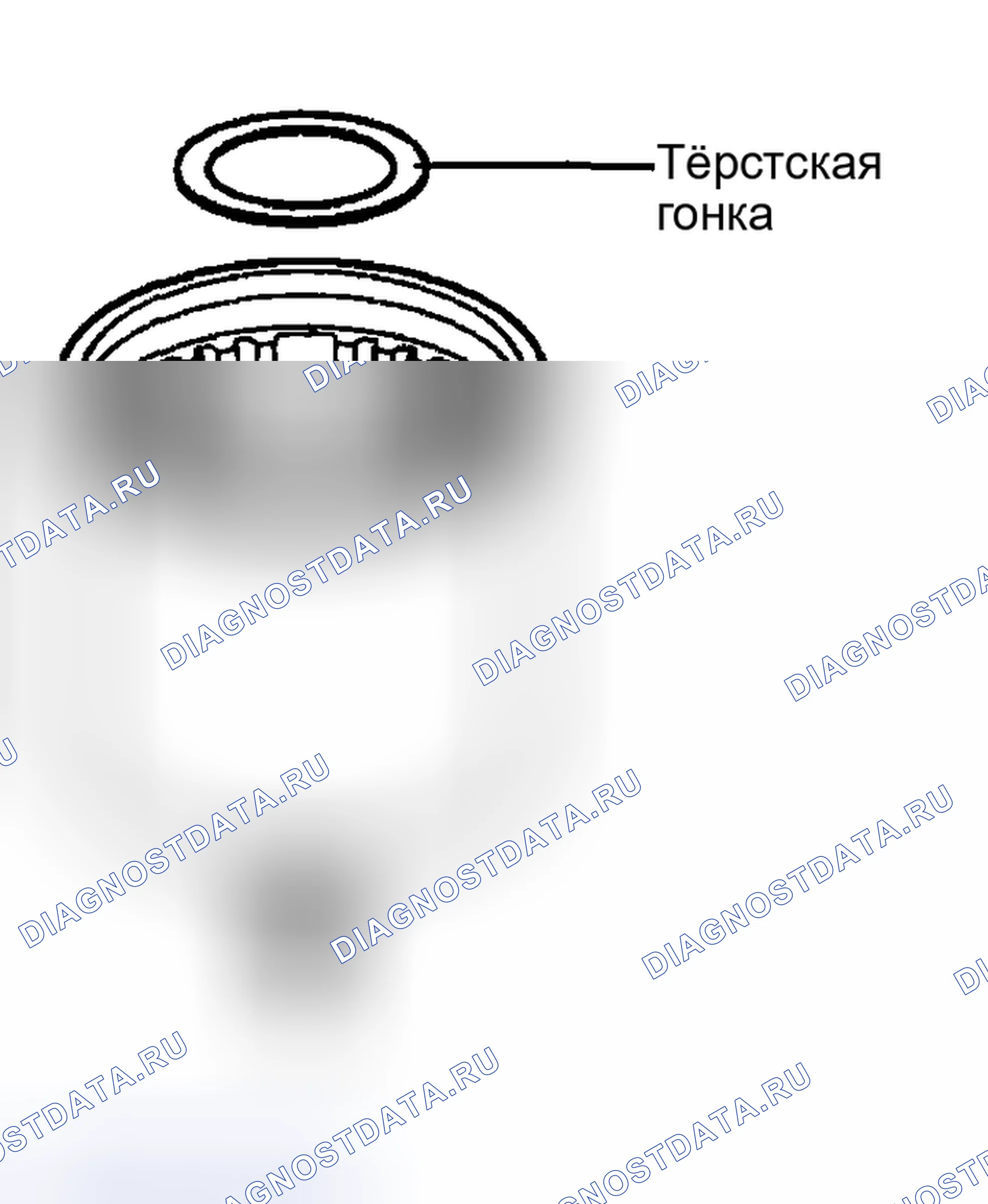 Рис. 46. Hyundai Santa Fe I