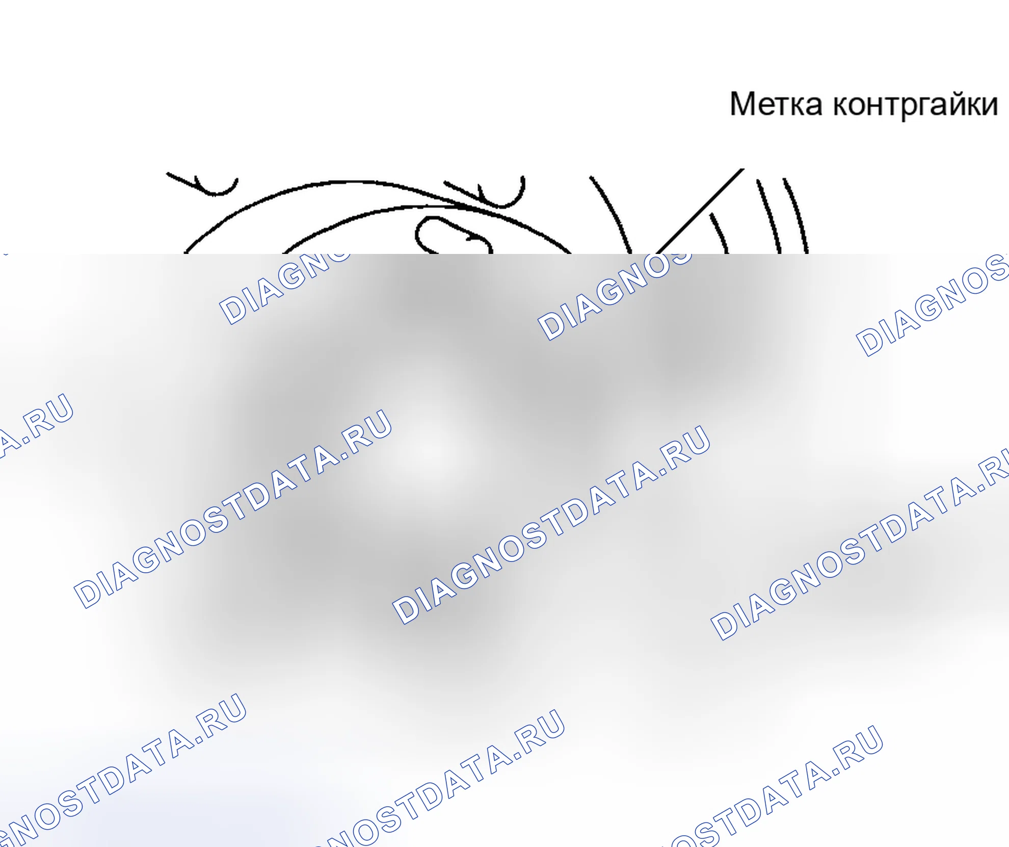 Рис. 6. Honda Accord X рестайлинг