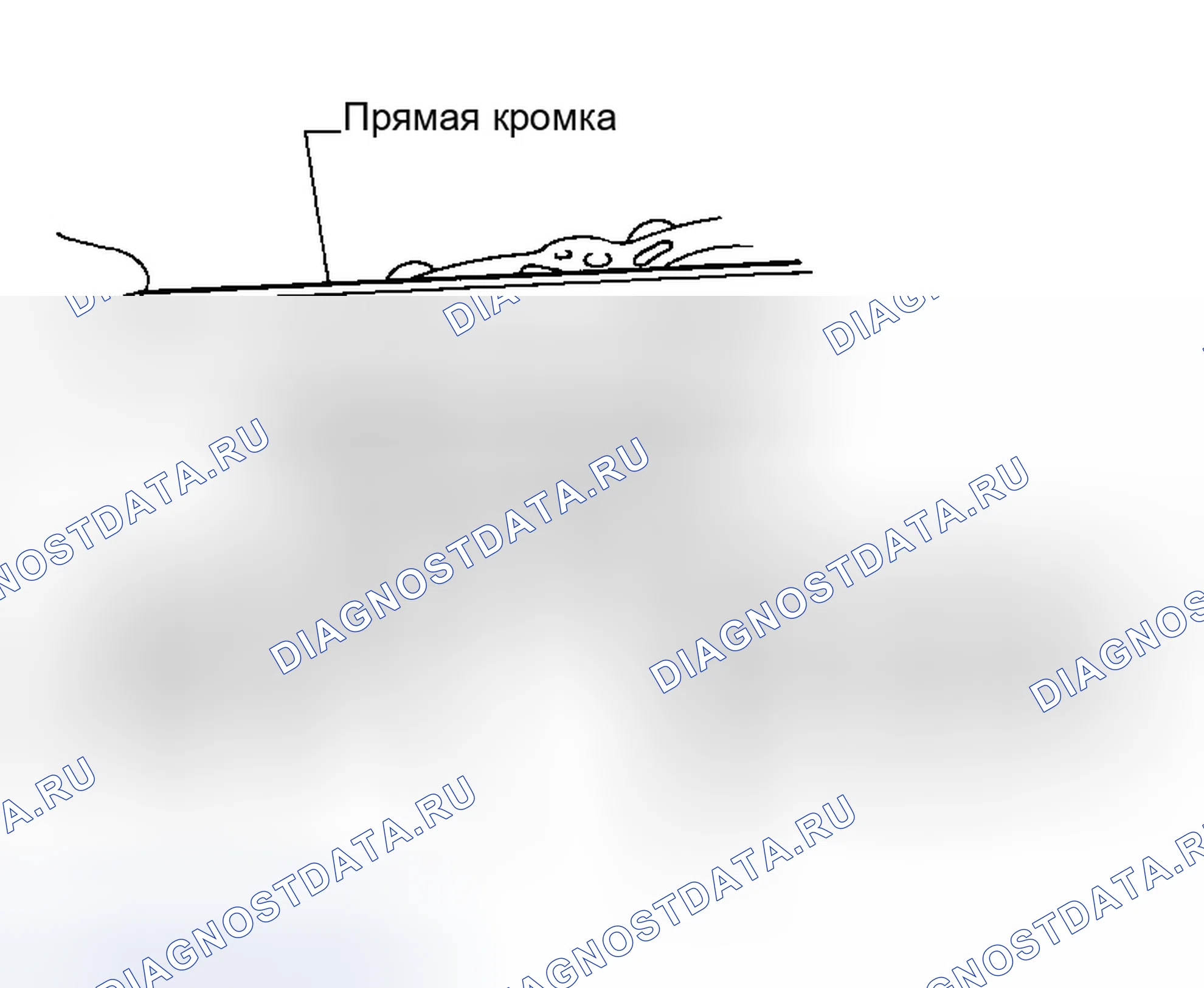 Рис. 321. Infiniti M35 III