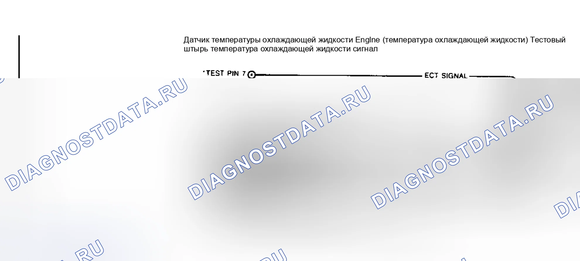 Рис. 10: Схема датчика температуры охлаждающей жидкости двигателя (температура охлаждающей жидкости). Ford Taurus I