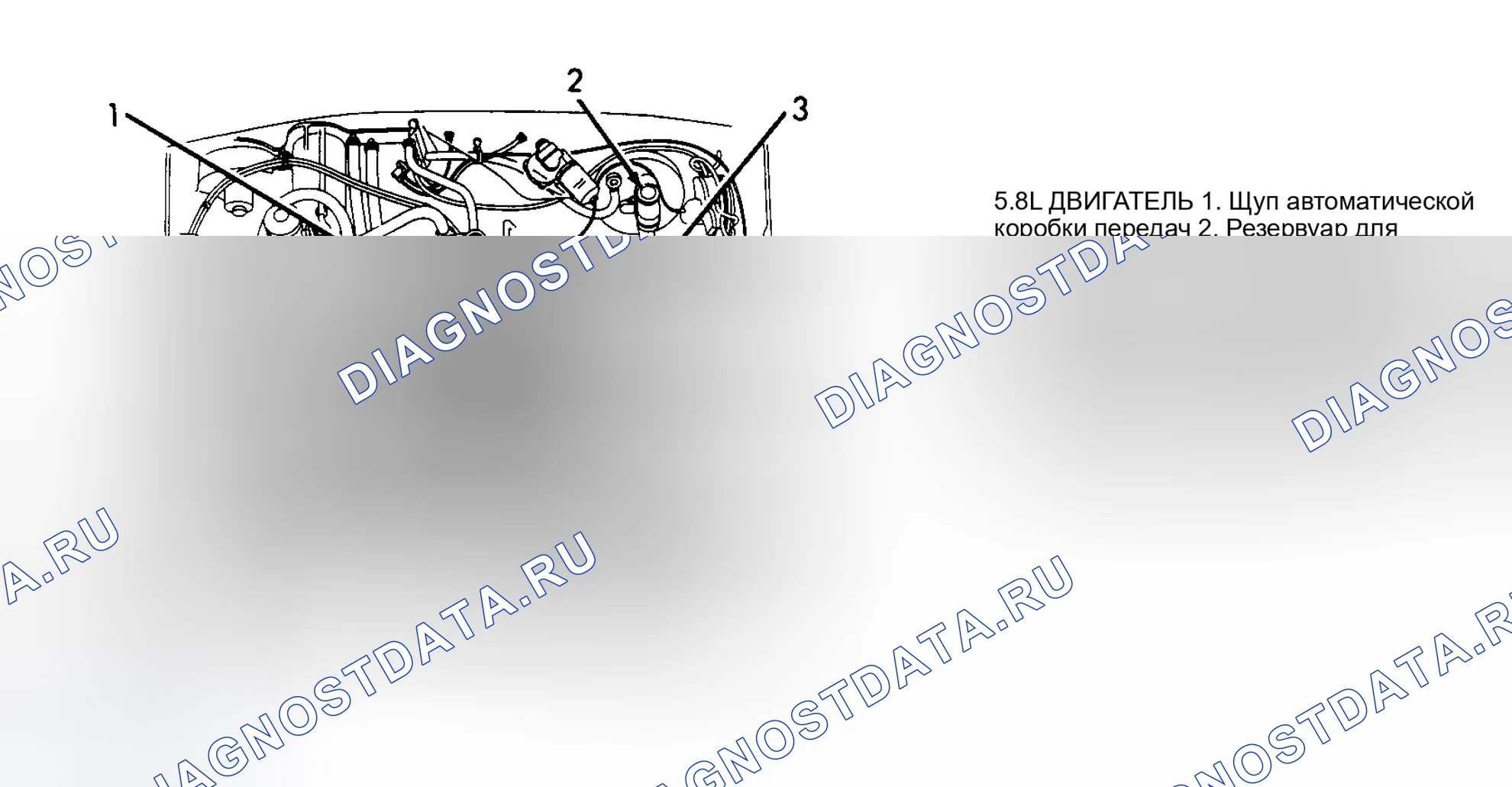 Рис. 8: РАСПОЛОЖЕНИЕ ТОЧЕК ОБСЛУЖИВАНИЯ. Ford LTD Crown Victoria I
