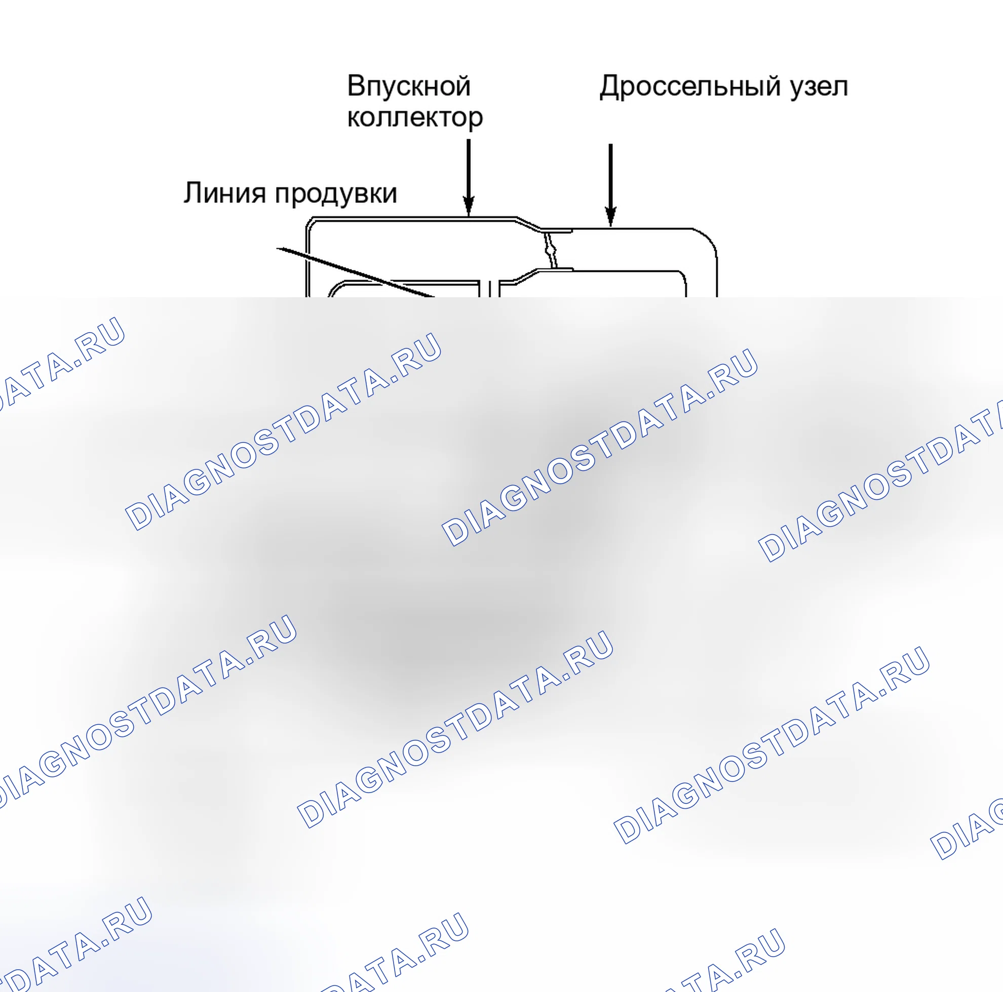 Рис. 2: Перепускные клапаны вакуумной резки и отсечки. Nissan Maxima A32