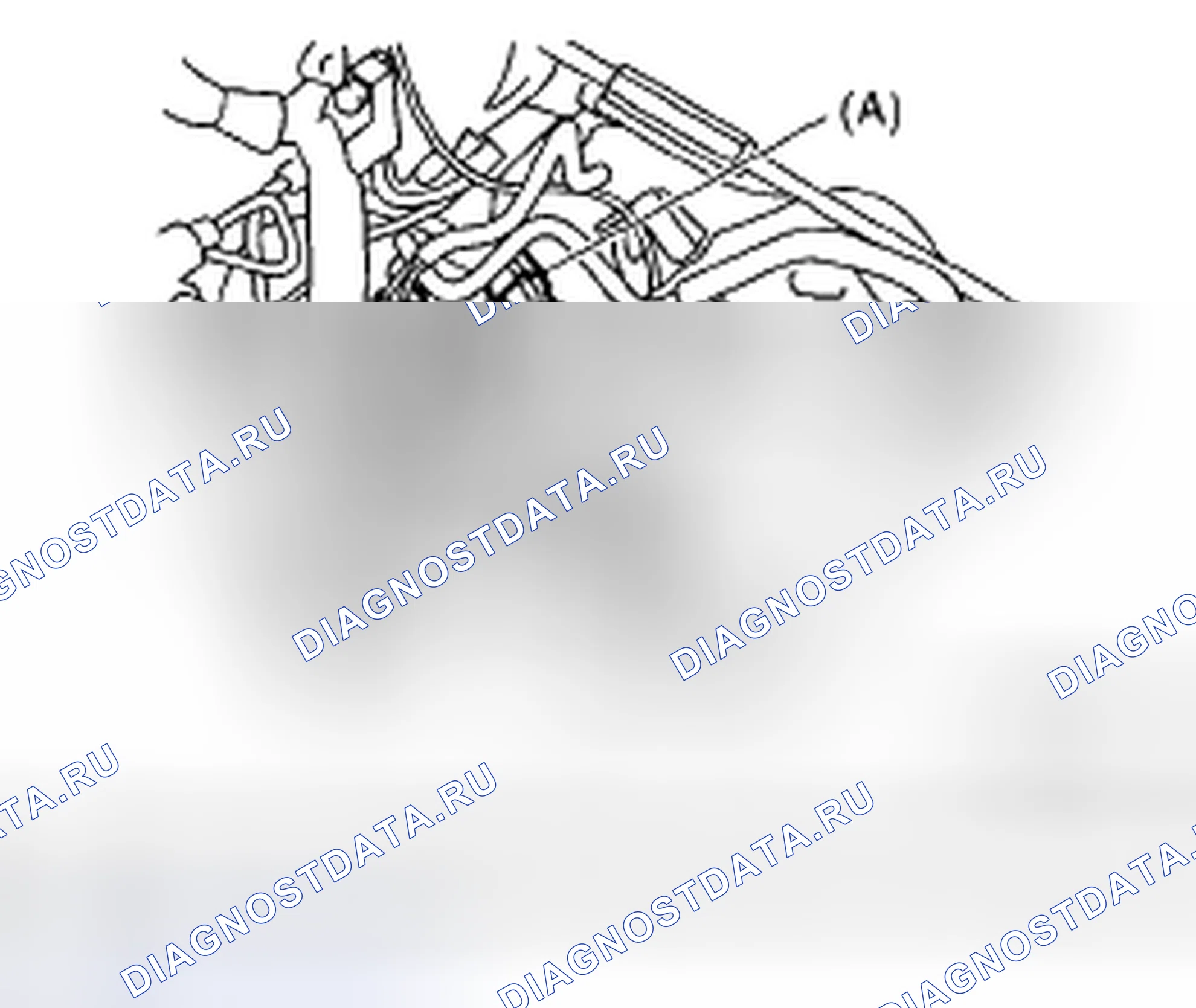 Рис. 498. Subaru Impreza GD/GC/GG рестайлинг 2