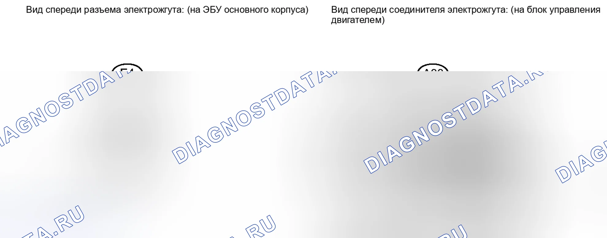 Рис. 397. Haval Xiaolong I