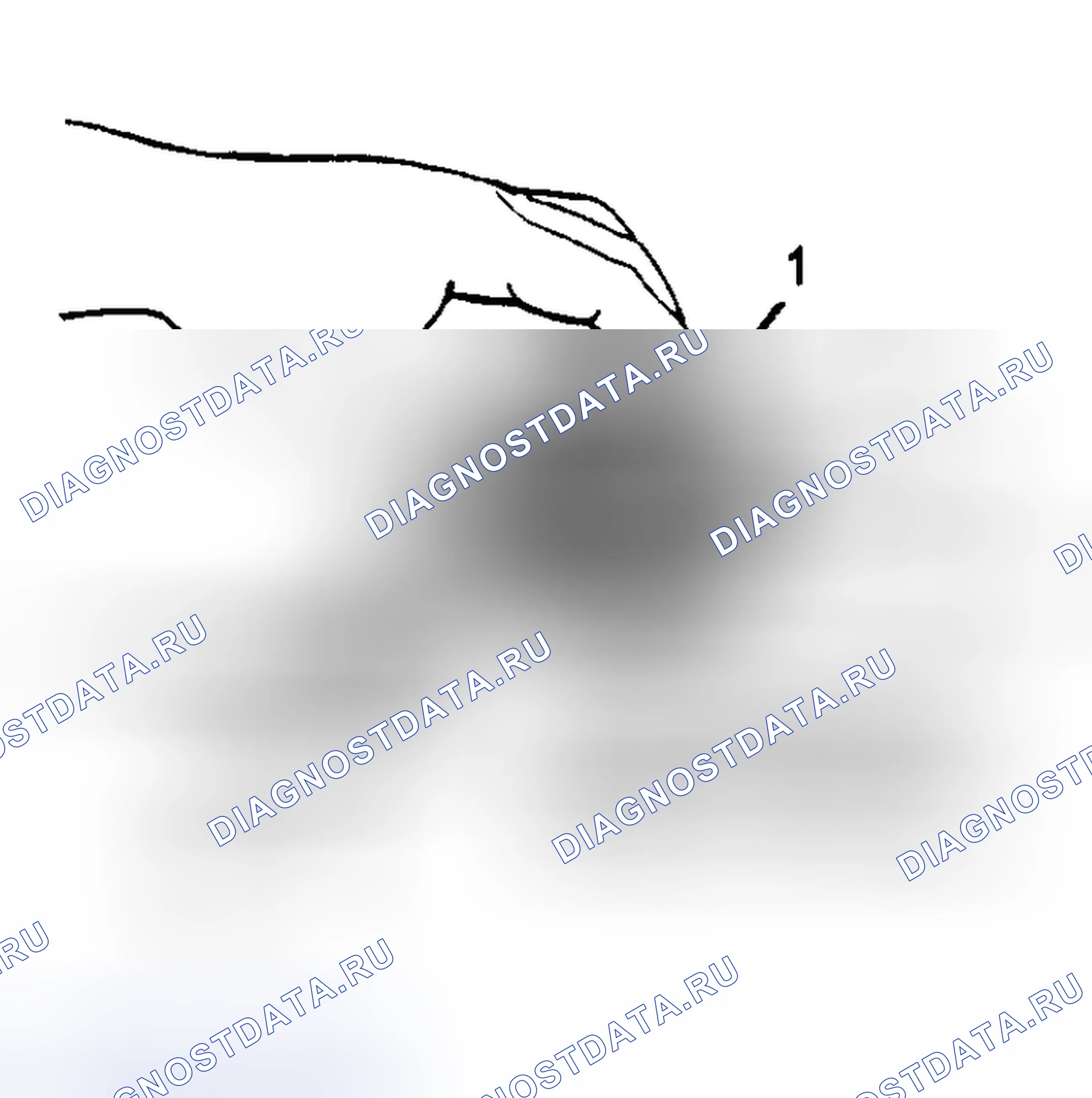 Рис. 6. Daihatsu Rocky I