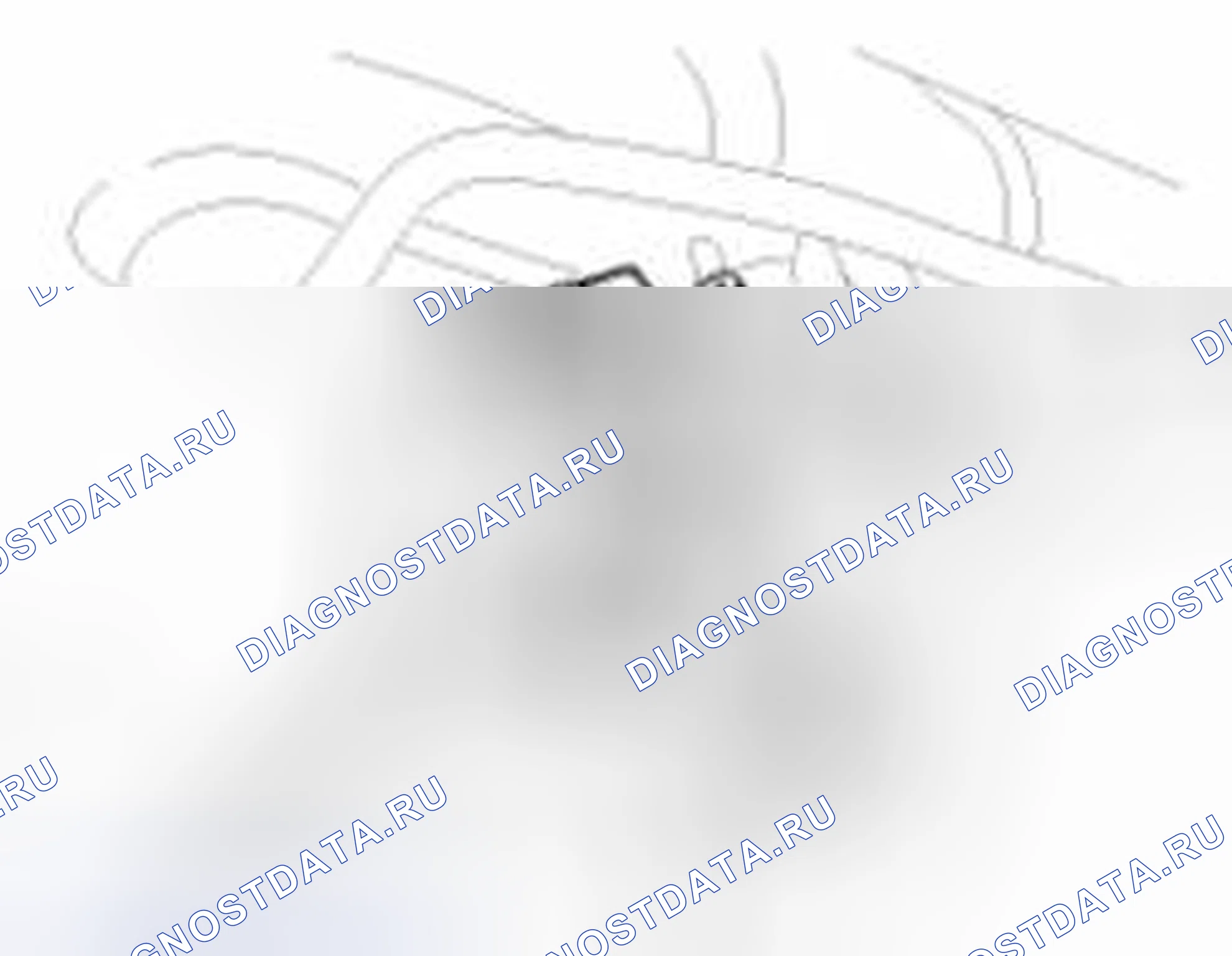 Рис. 13: Проверка PCSV. Kia Sedona II рестайлинг