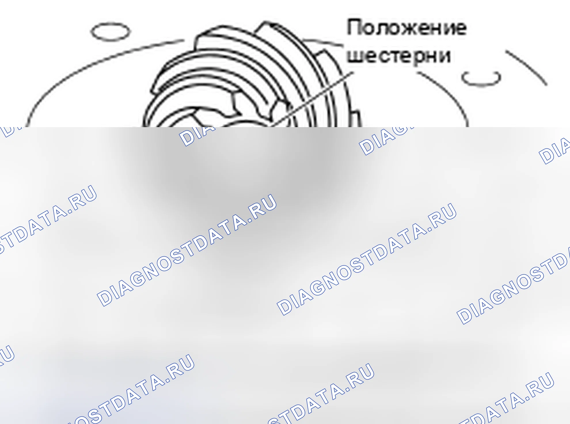 Рис. 160: Высота ведущей шестерни. Honda Torneo I