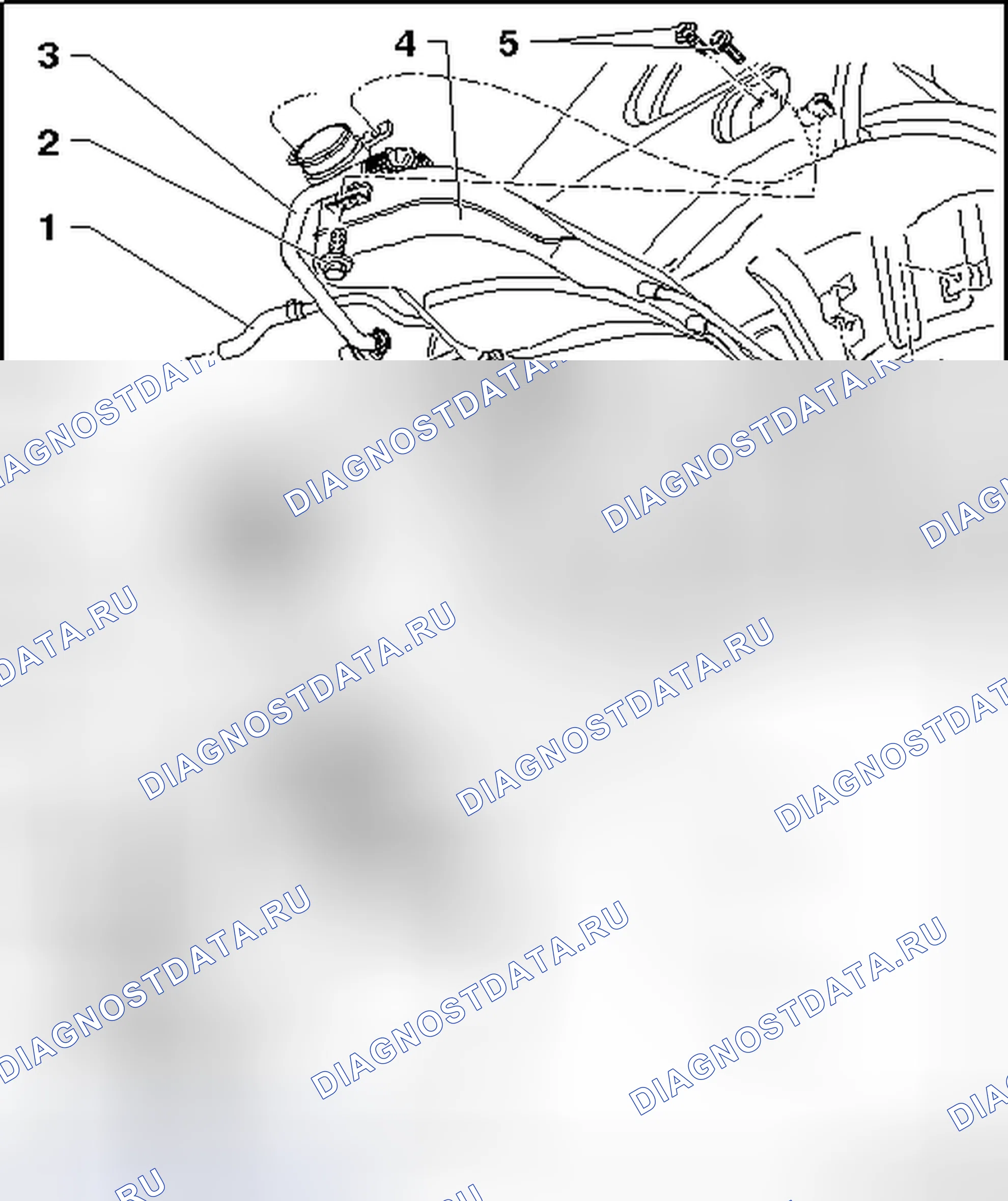 Рис. 165: ОБЗОР СИСТЕМЫ EVAP. Volkswagen Touareg II