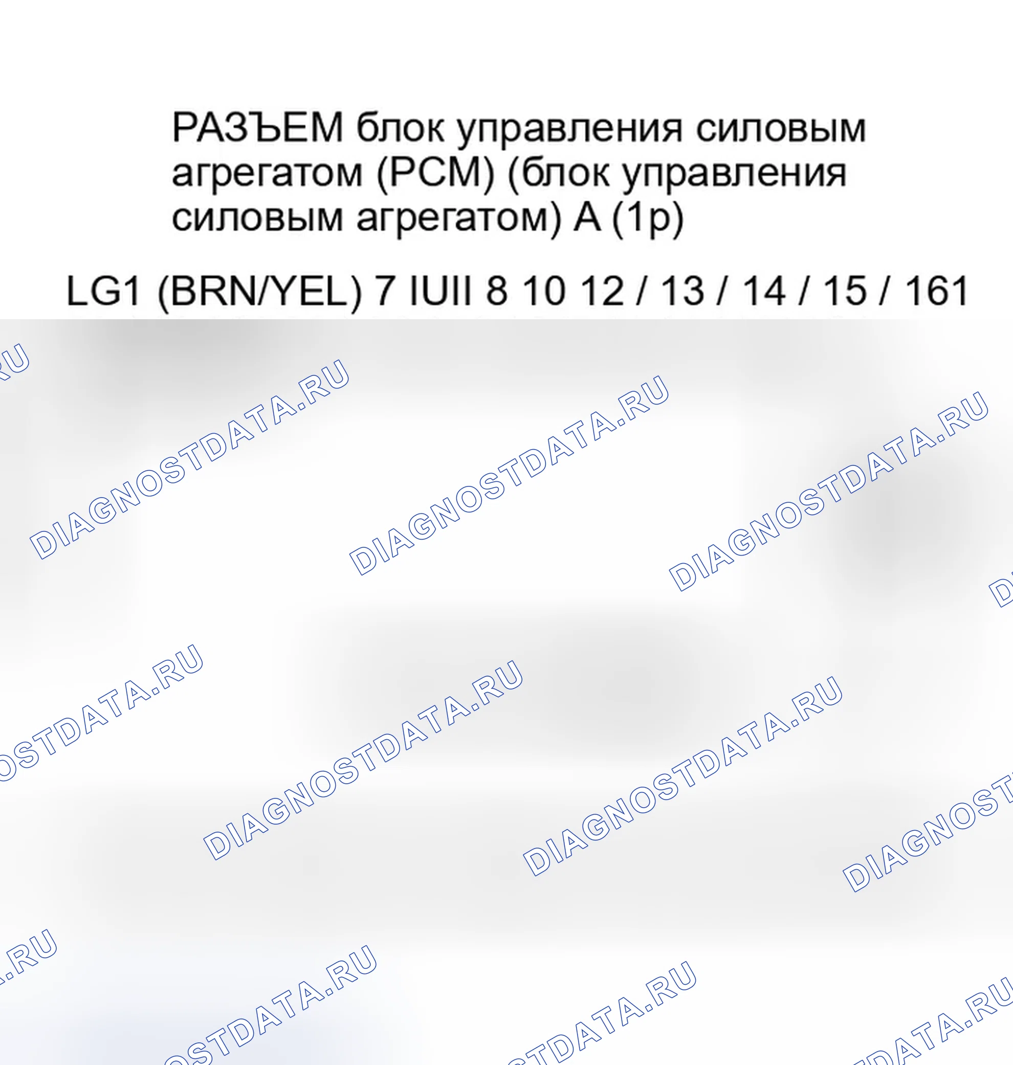 Рис. 577. Honda Element YH2