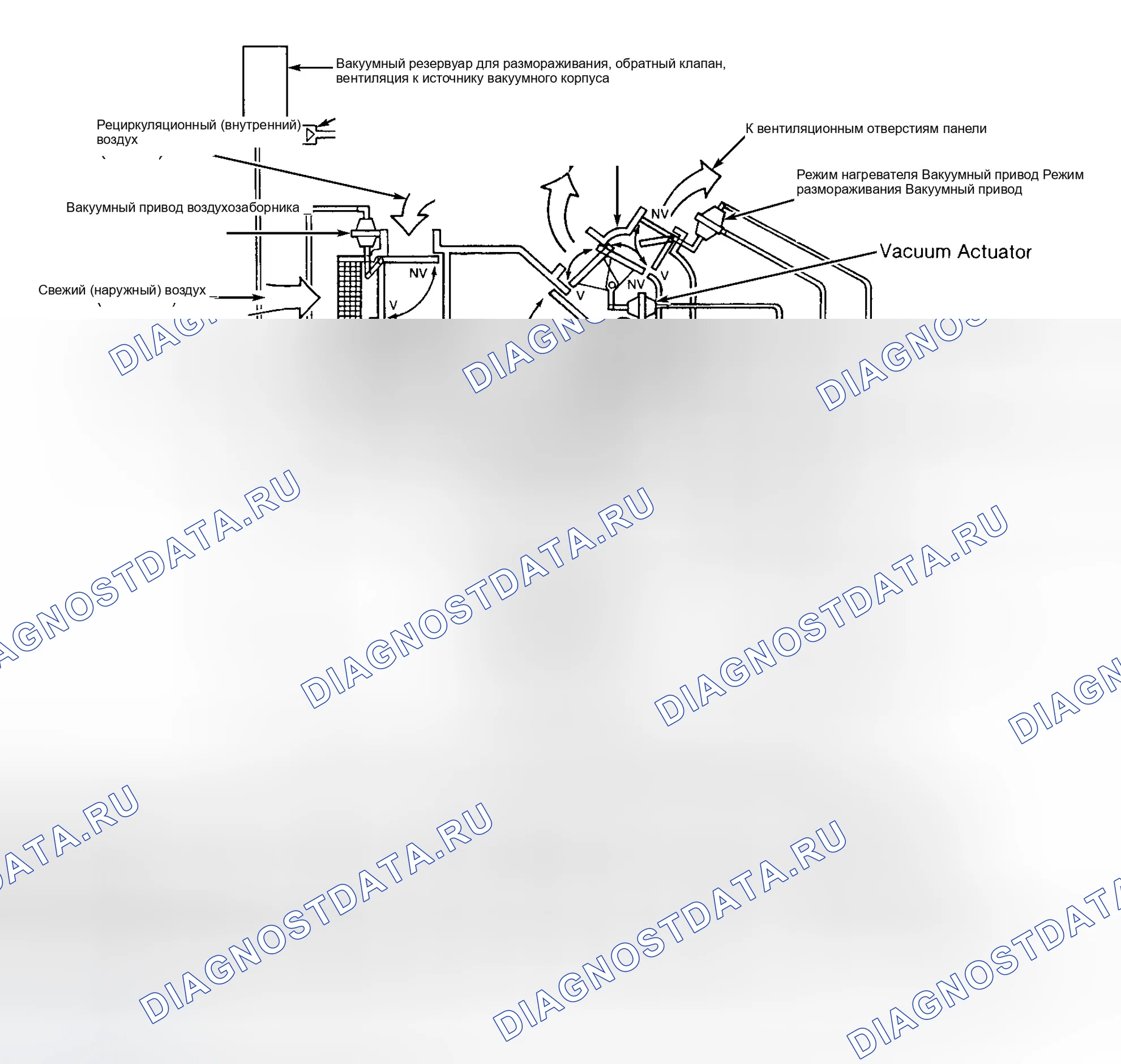 Рис. 2: СХЕМА ВАКУУМНЫХ ШЛАНГОВ. Ford Contour I