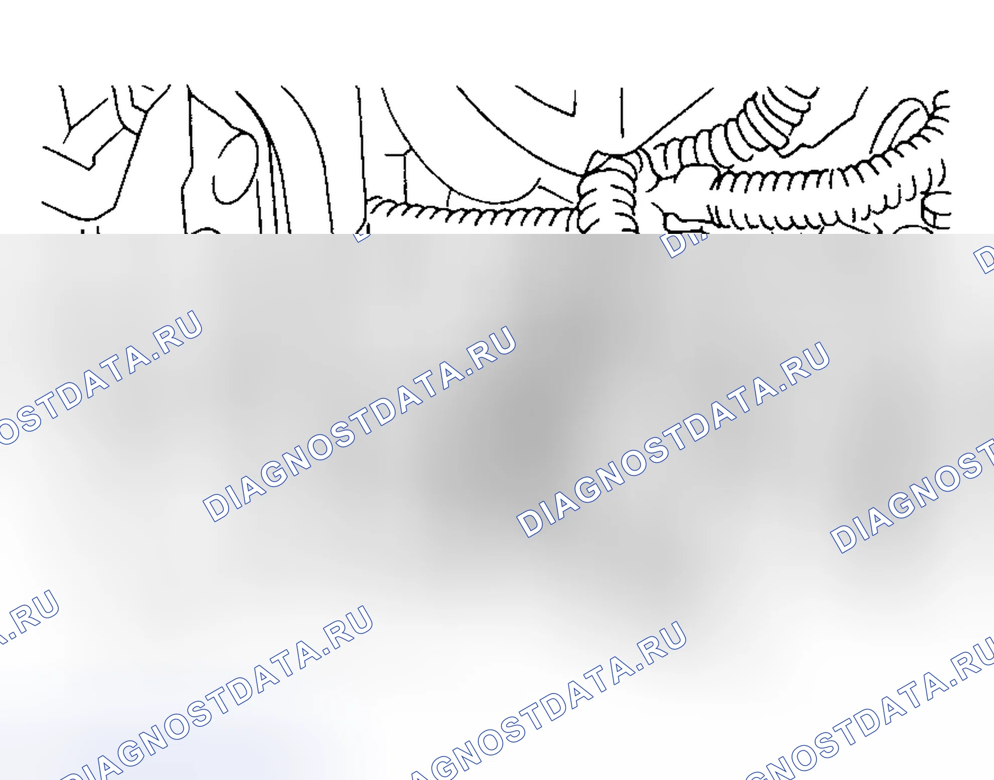 Рис. 119. Subaru Outback BH