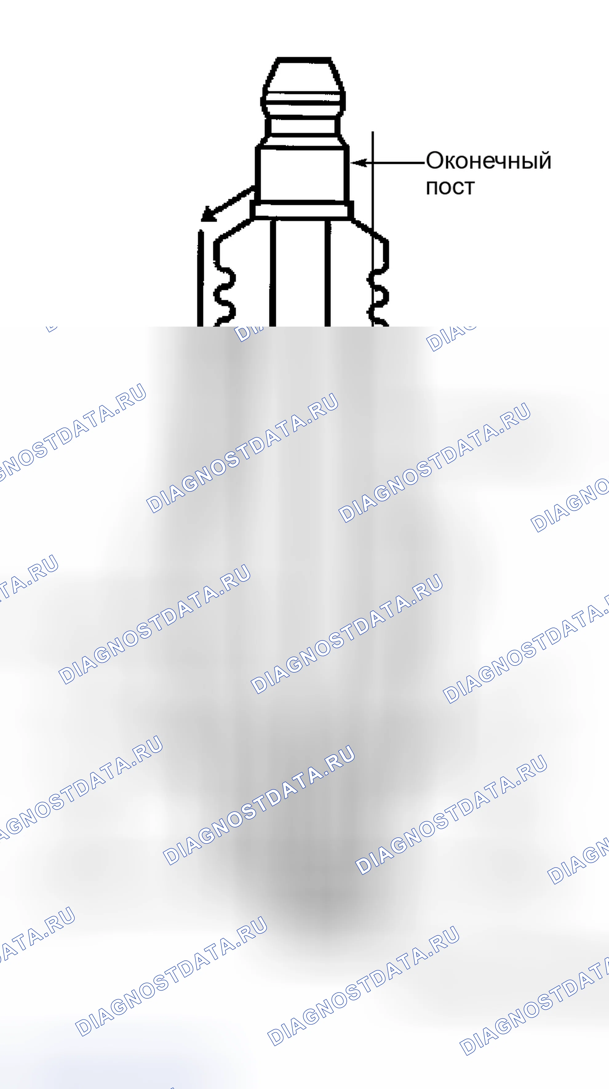 Рис. 1. Kia Ceed CD