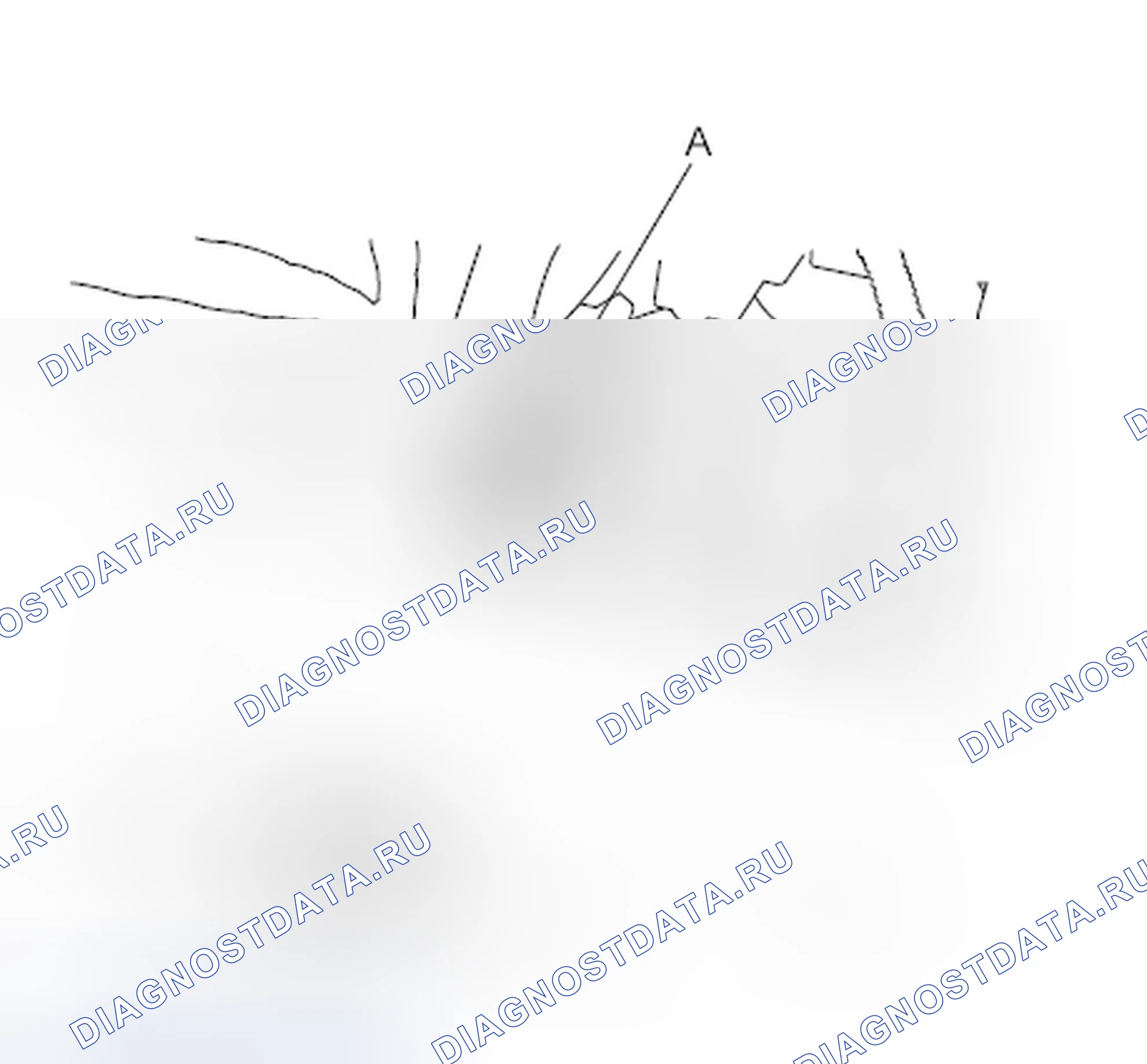 Рис. 335. Honda Element YH2 рестайлинг