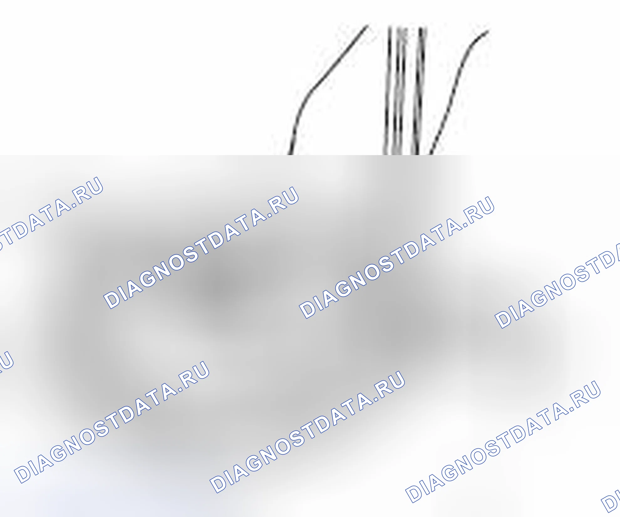 Рис. 541. Honda e:NP1 I