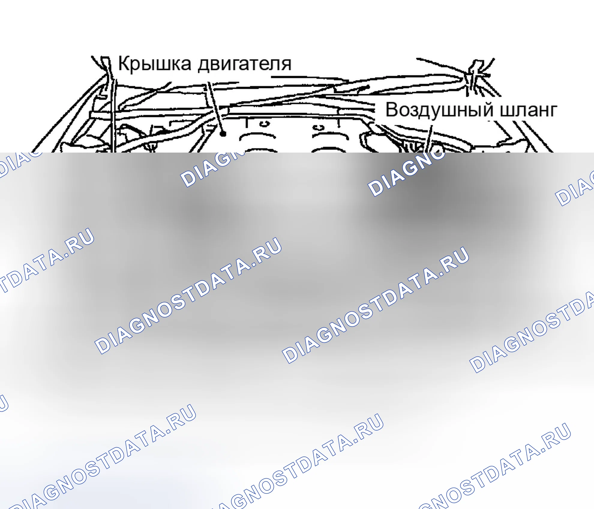 Рис. 124: ДЕМОНТАЖ. Infiniti G35 III