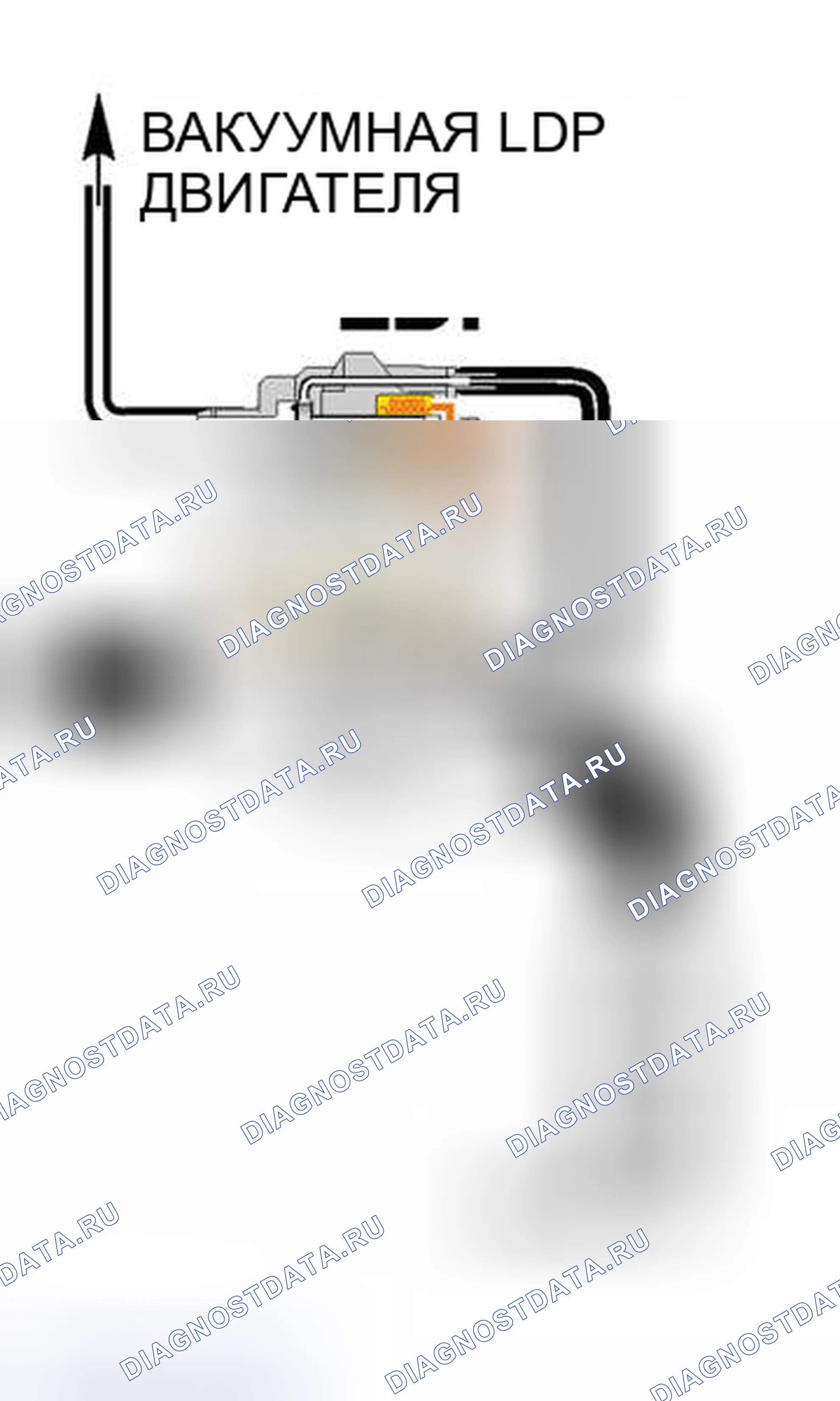 Рис. 429: Идентификация LDP. BMW Z3 E36