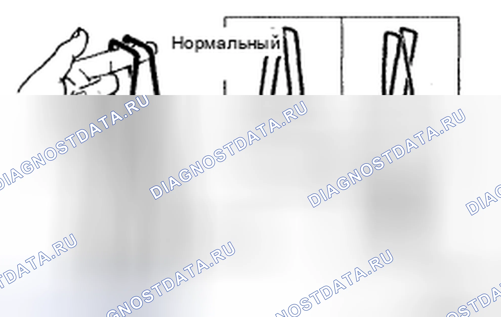 Рис. 63. Honda CR-V VI