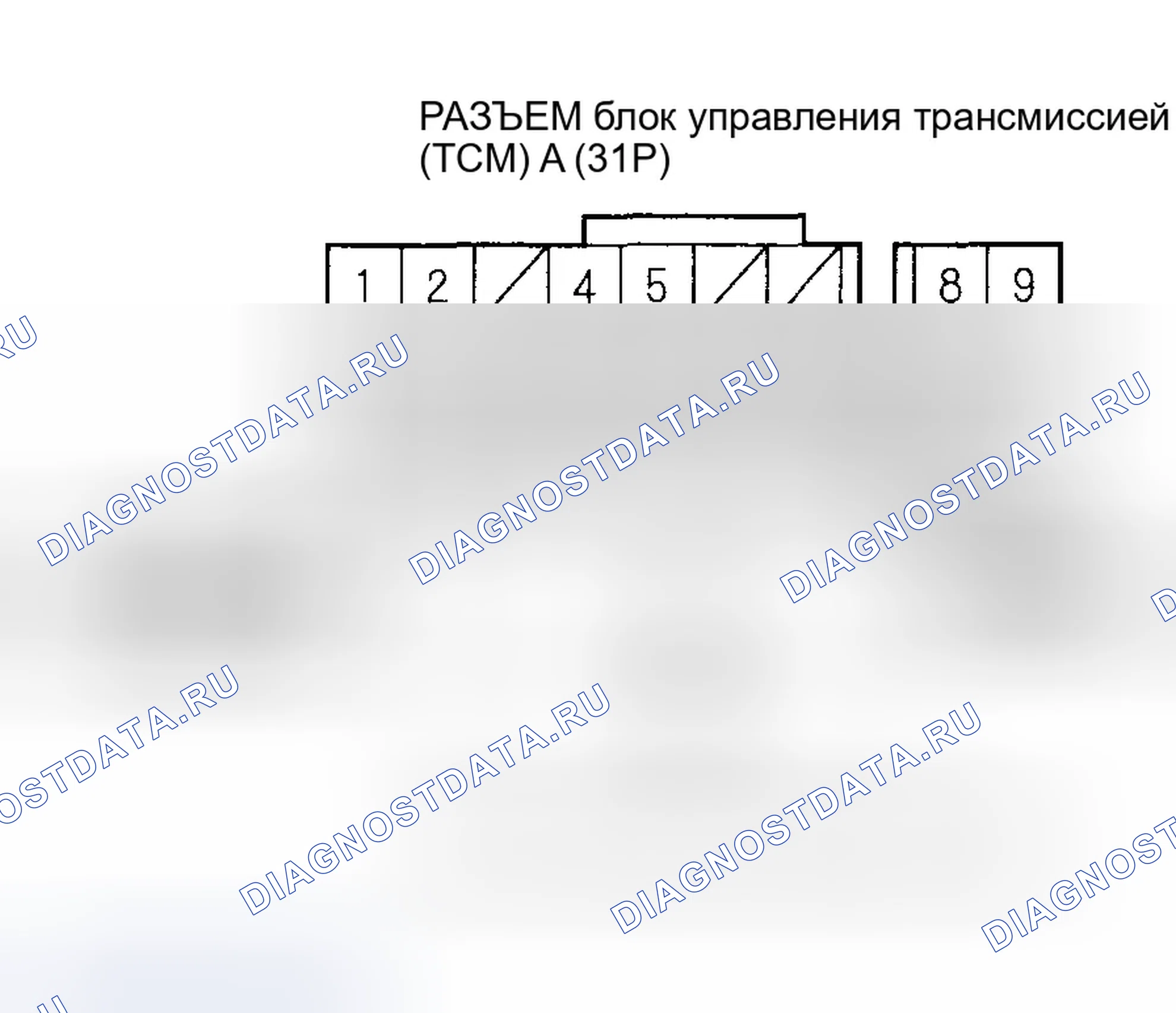 Рис. 1164. Honda Civic VII рестайлинг