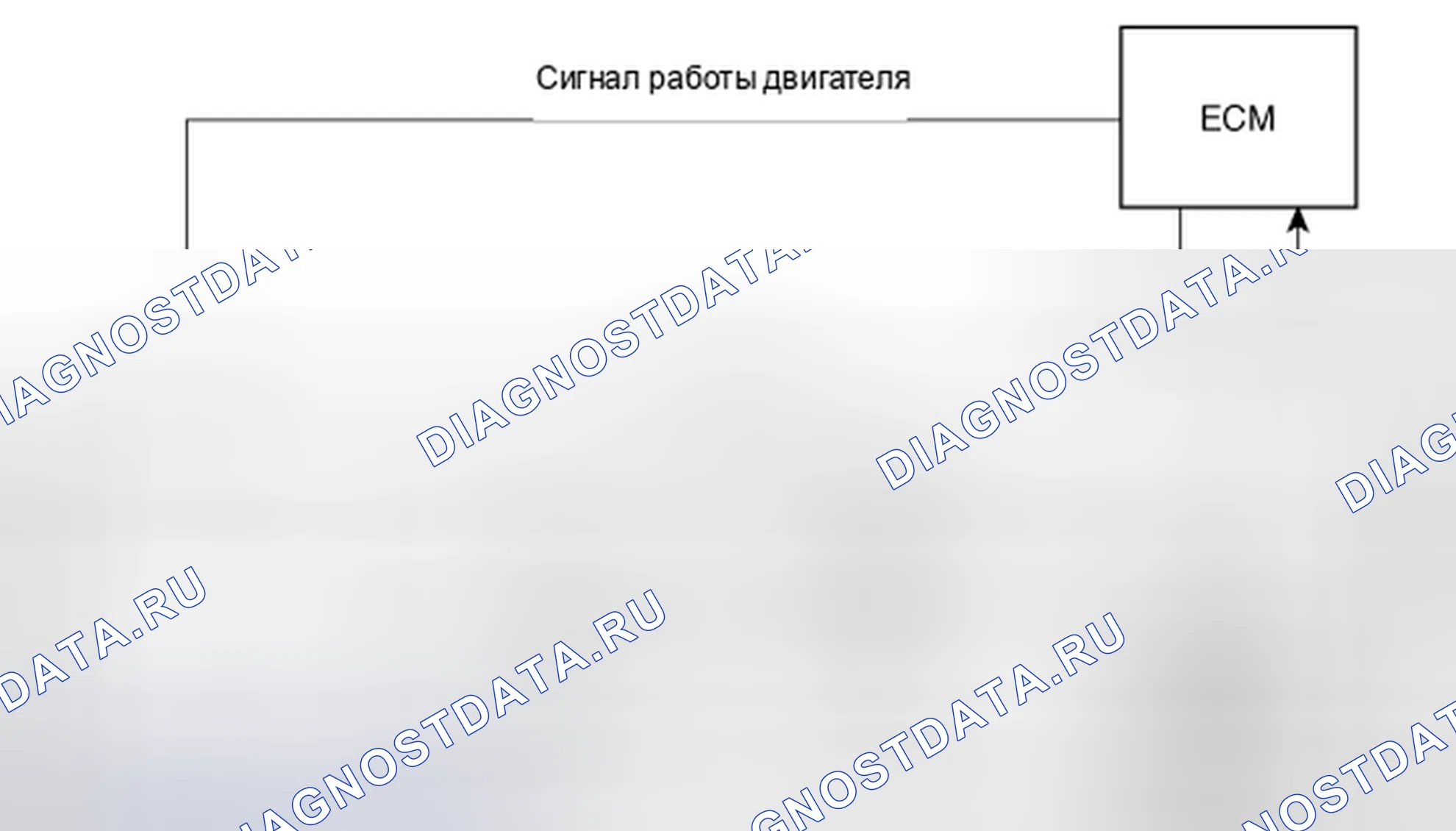 Рис. 41: Принципиальная схема. Kia Magentis II рестайлинг