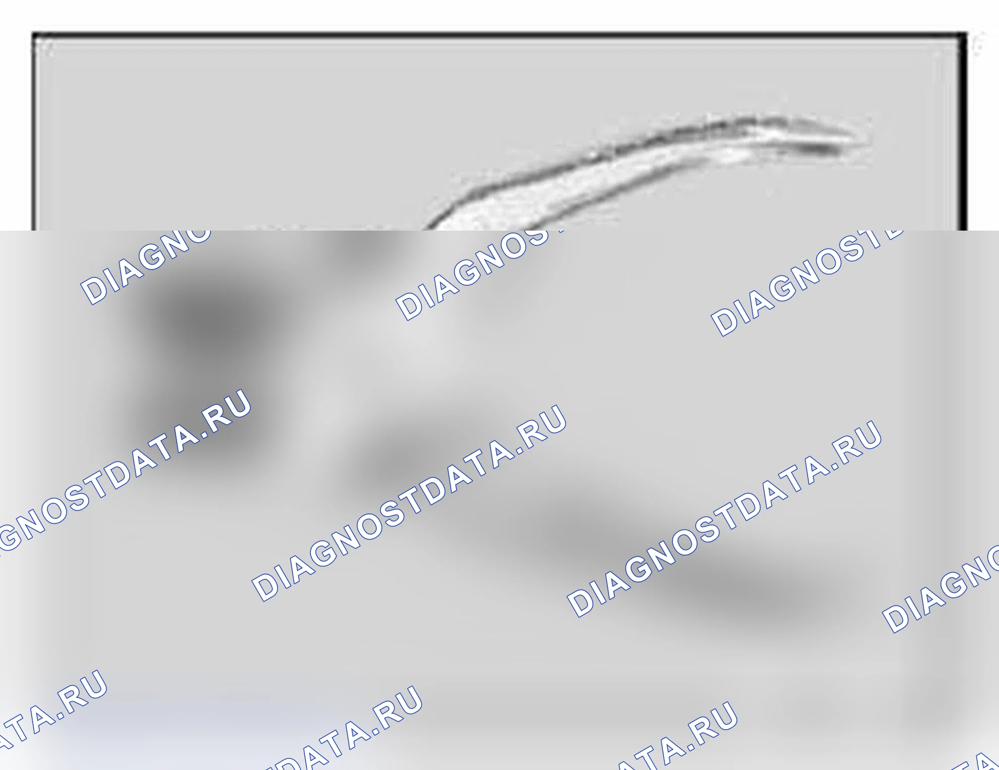 Рис. 297: 61 1 190 Плоскогубцы. BMW M6 E63/E64