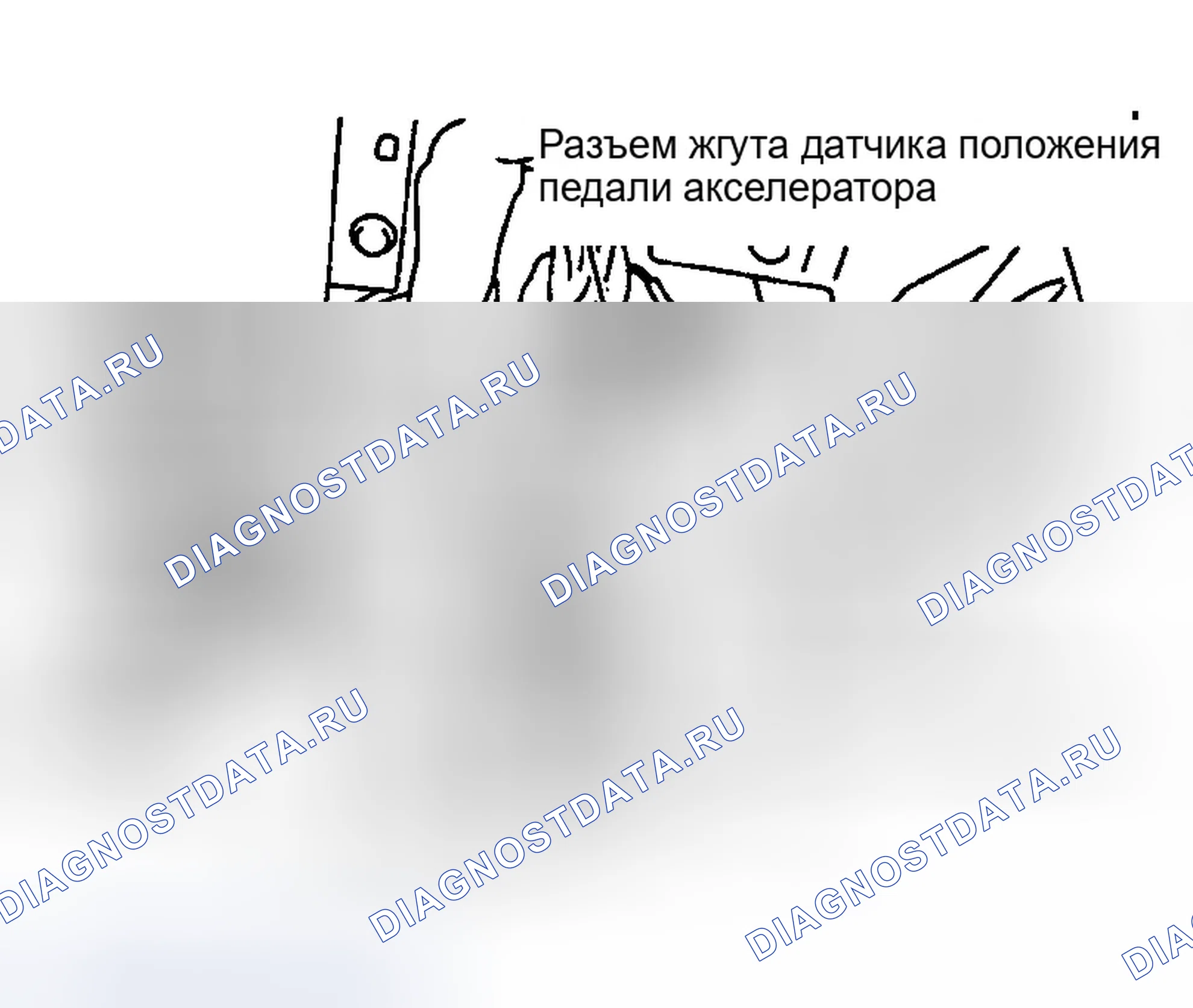 Рис. 32: Демонтаж и монтаж (G35). Infiniti M45 II