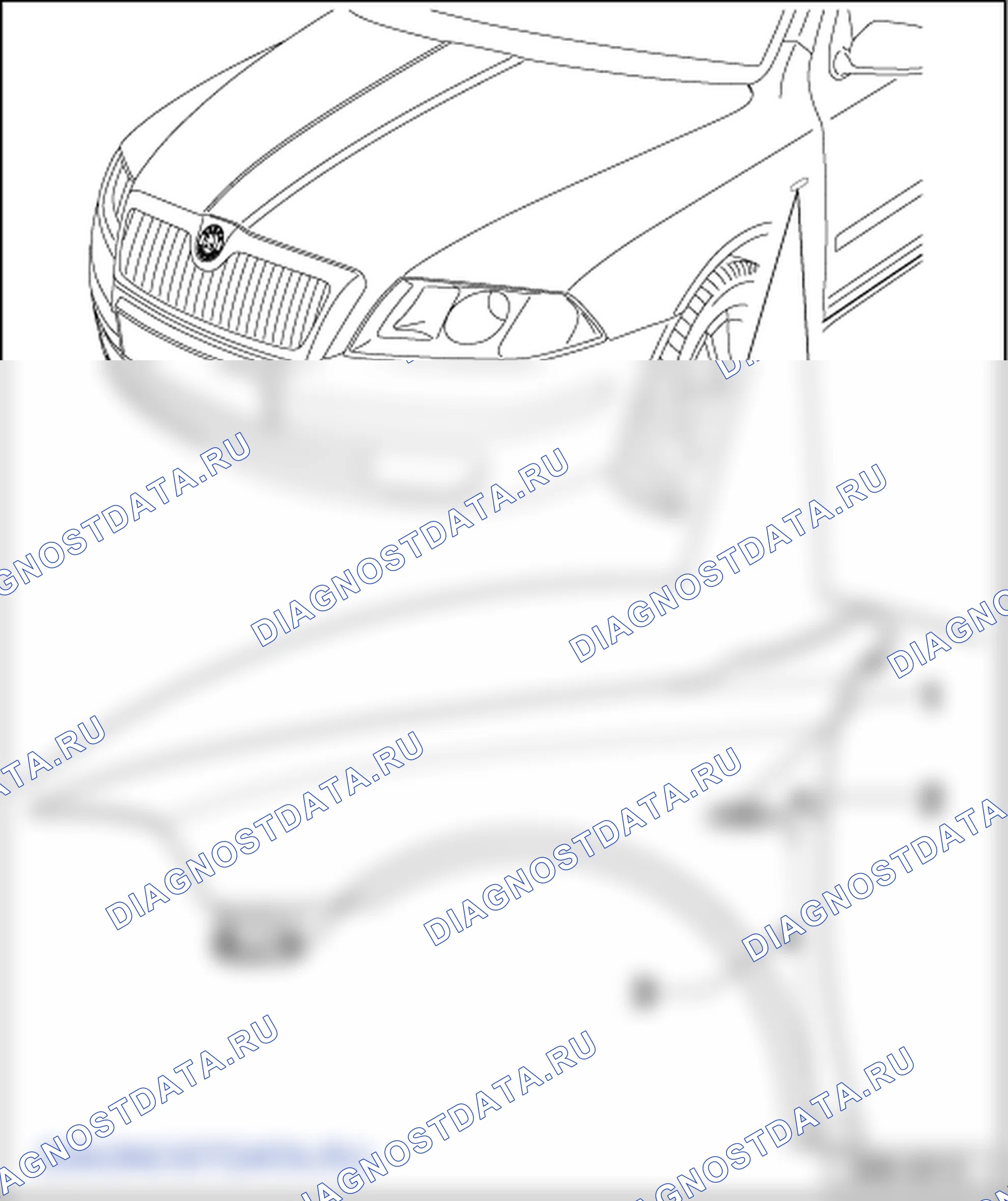 Декоративные элементы. Skoda Octavia Ii