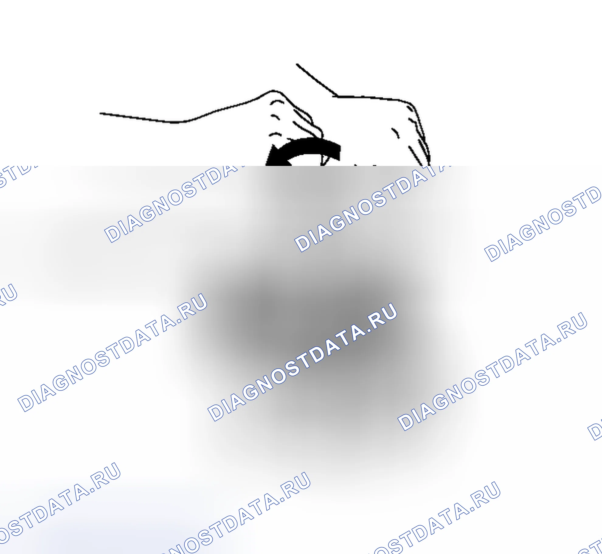 Рис. 30: QG18DE. Honda That S I
