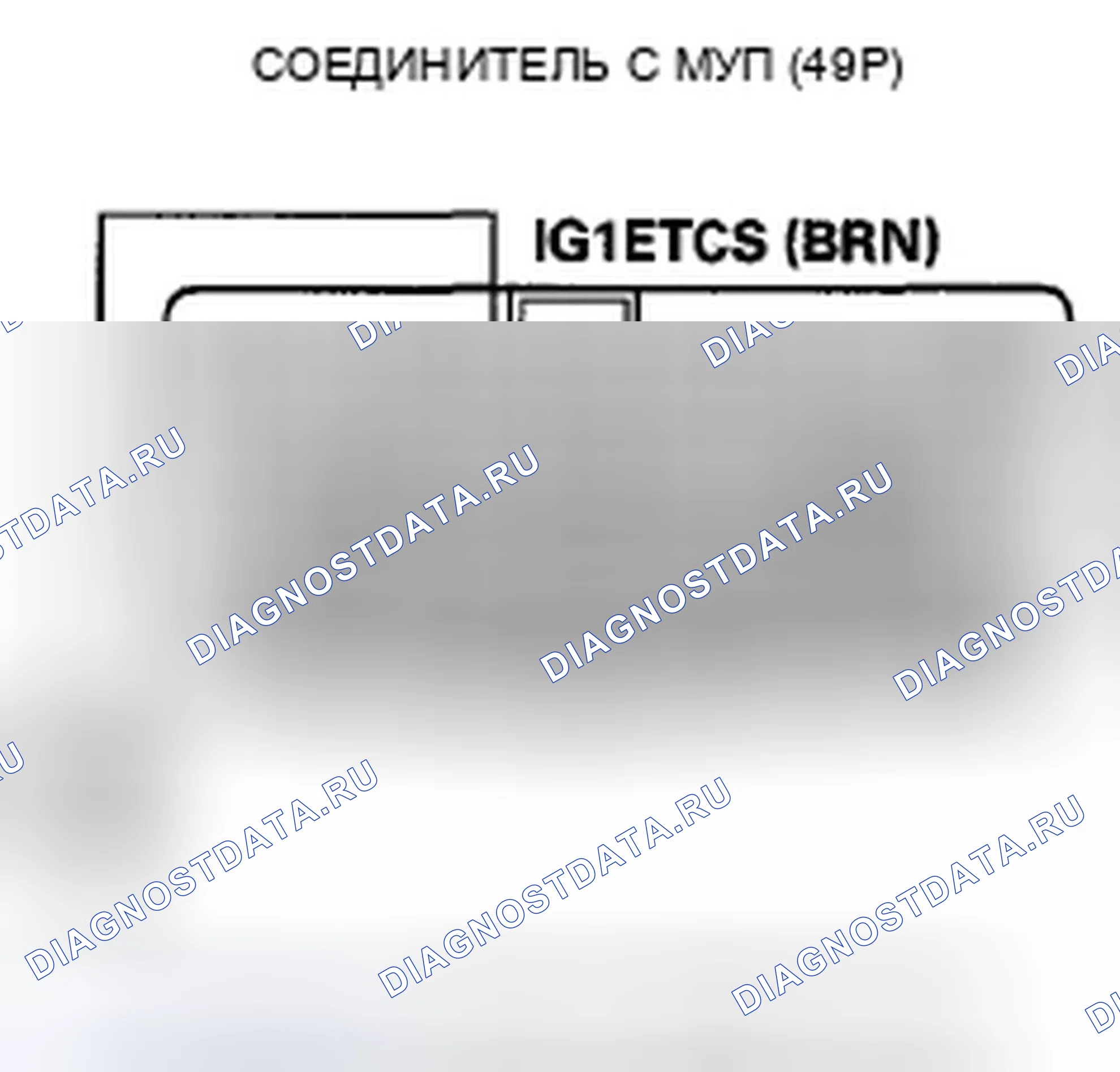 Рис. 260. Honda Crosstour I