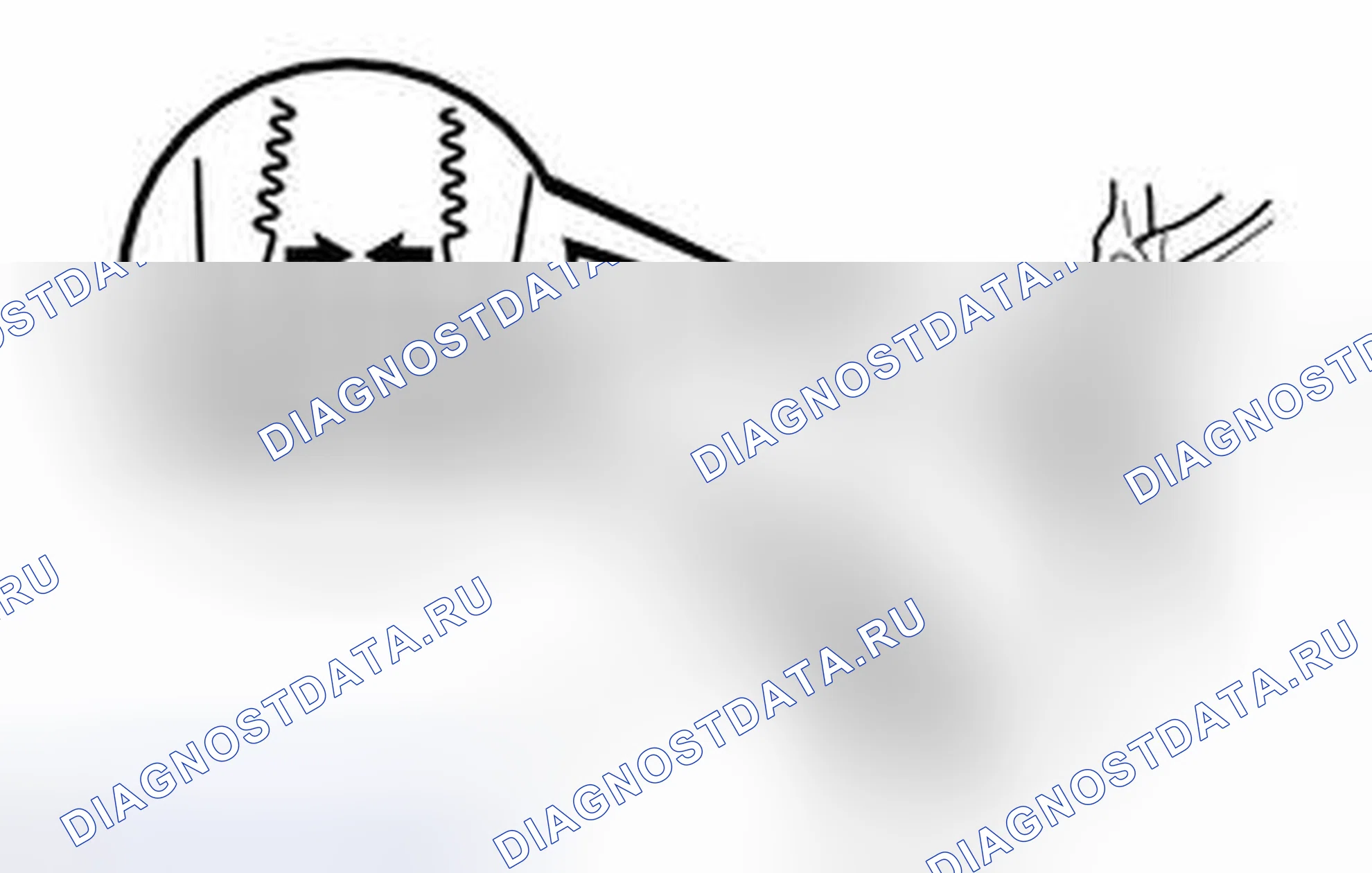 Рис. 18. Toyota Corolla XI