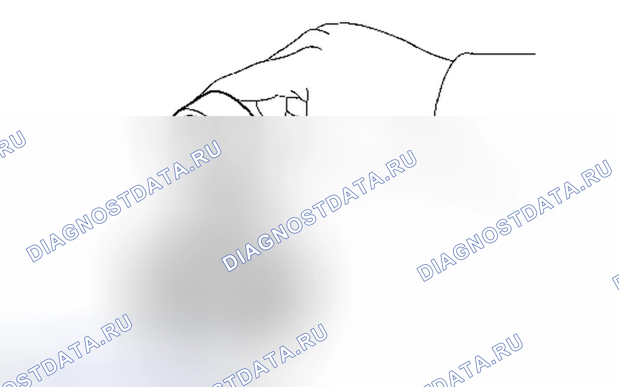 Рис. 244. Toyota RAV4 III рестайлинг