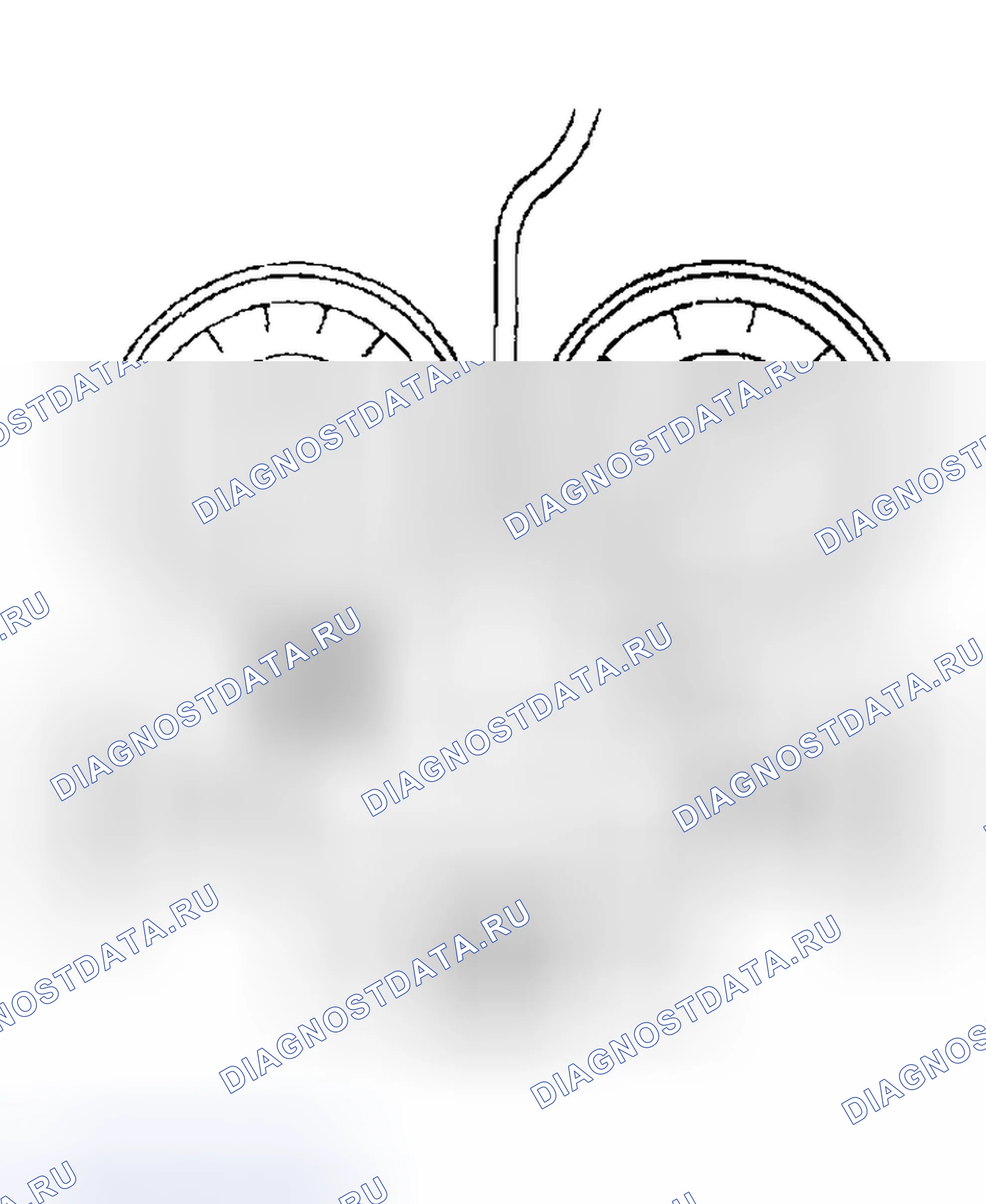 Рис. 14. Subaru Impreza GD/GC/GG