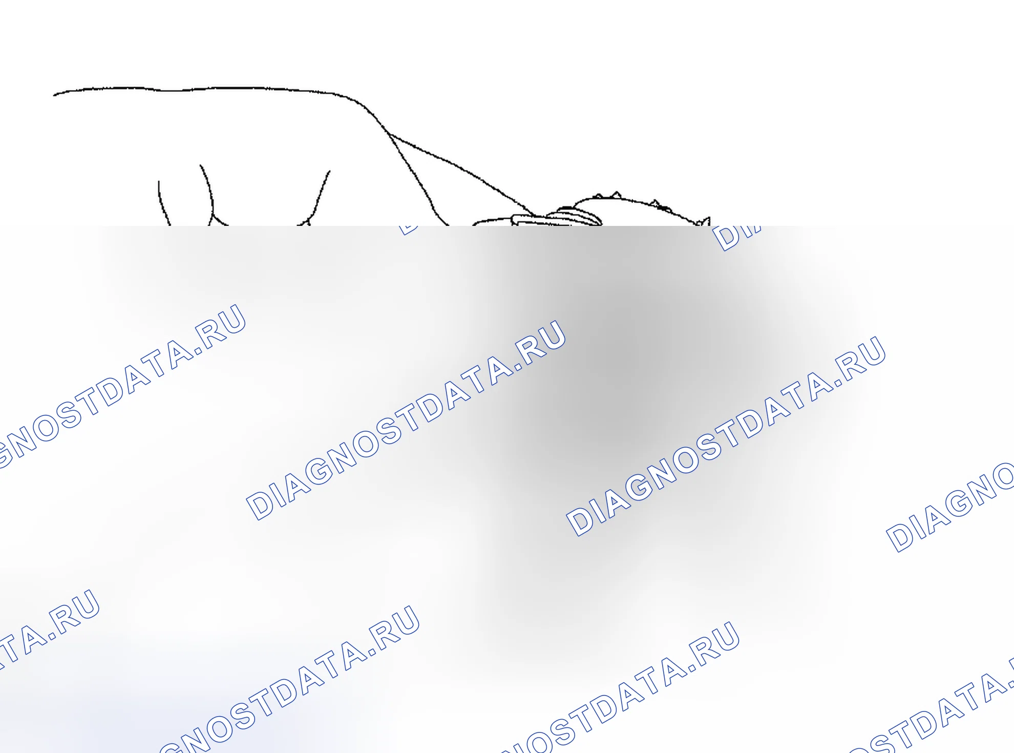 Рис. 96: ПОВТОРНАЯ СБОРКА. Toyota Tacoma II