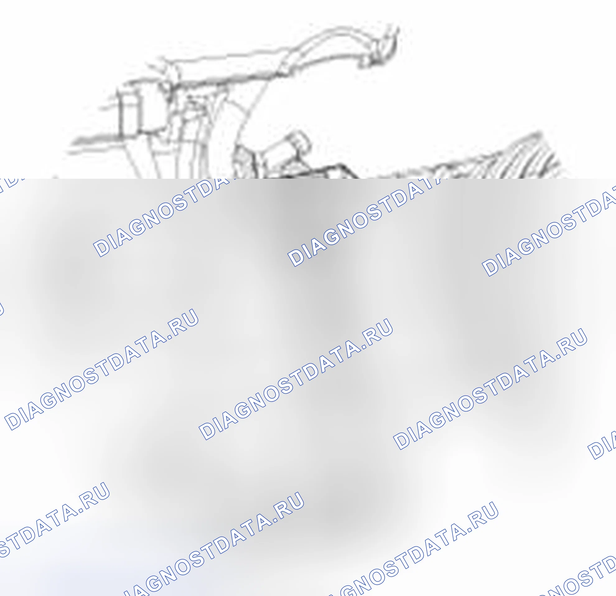 Рис. 256. Haval Beast (Shenshou) I
