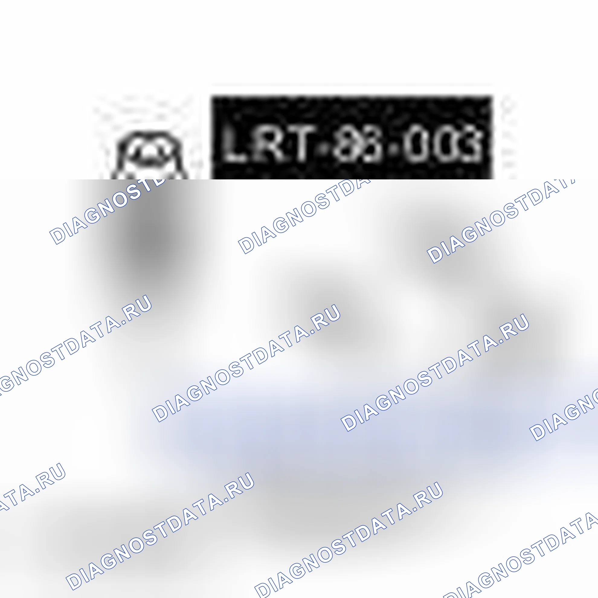 Рис. 59. Land Rover Range Rover III рестайлинг 2