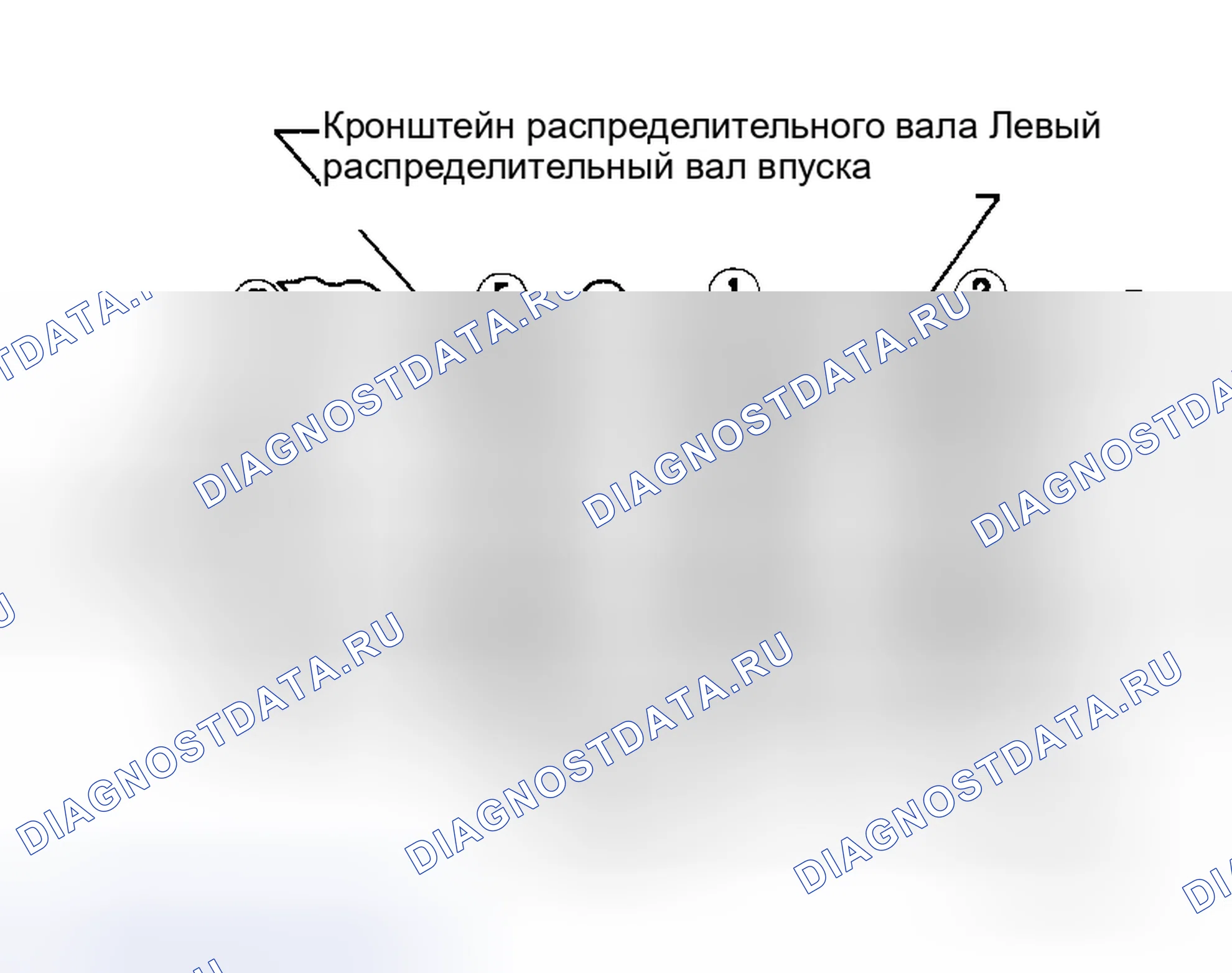 Рис. 261. Honda Rafaga I