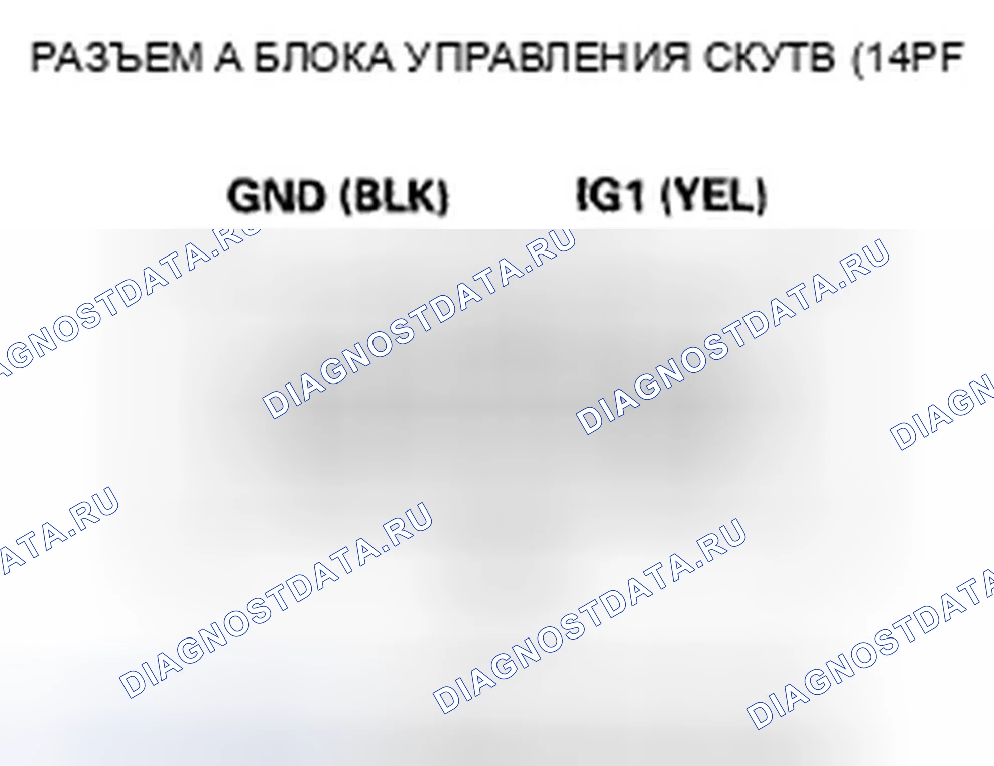 Рис. 6. Honda Element YH2 рестайлинг 2