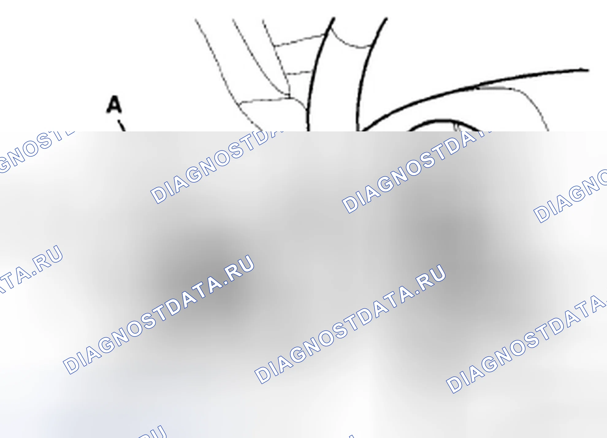 Рис. 14. Honda Accord VIII рестайлинг